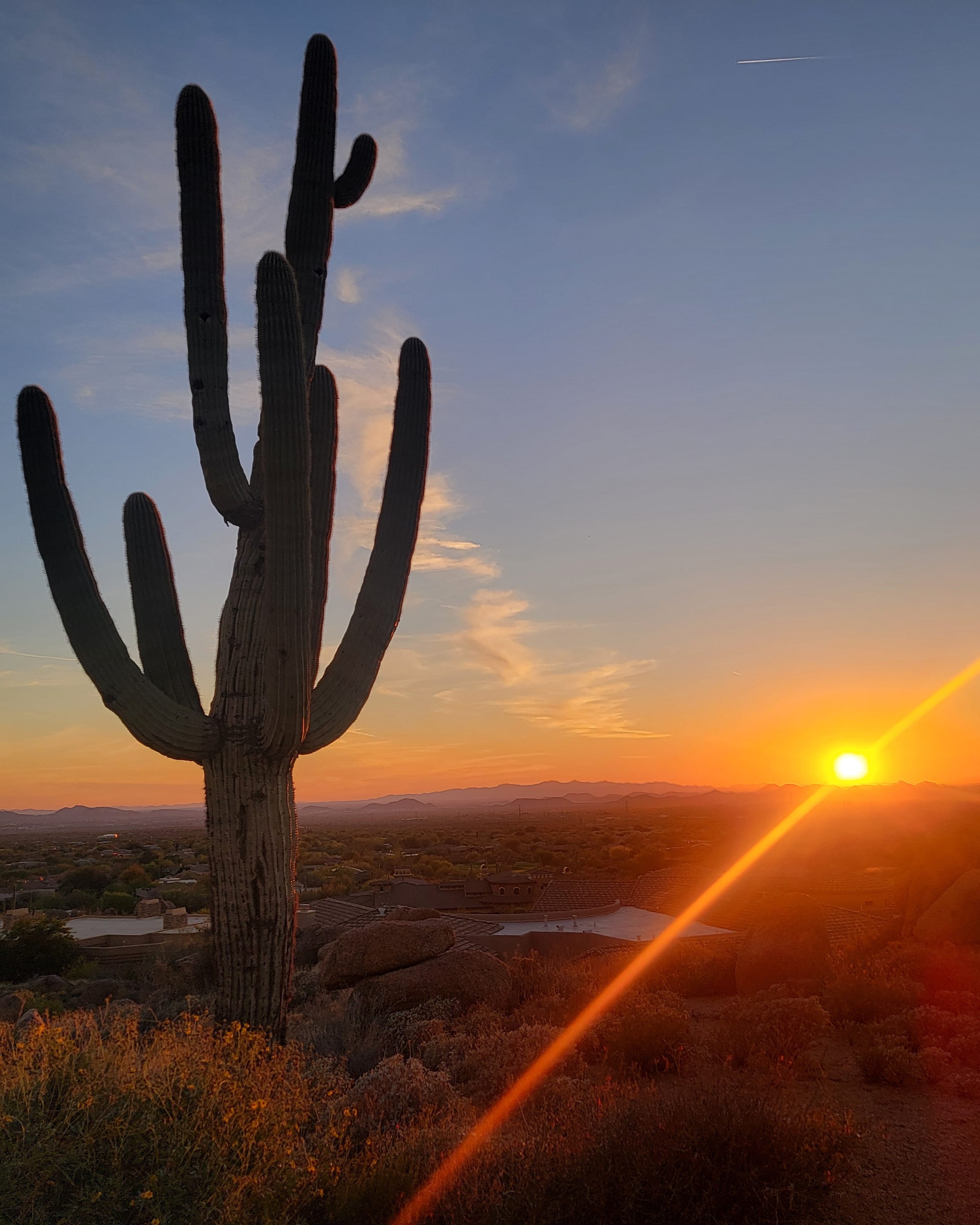 Advisor - Scottsdale for Luxury, Wellness & Desert Beauty