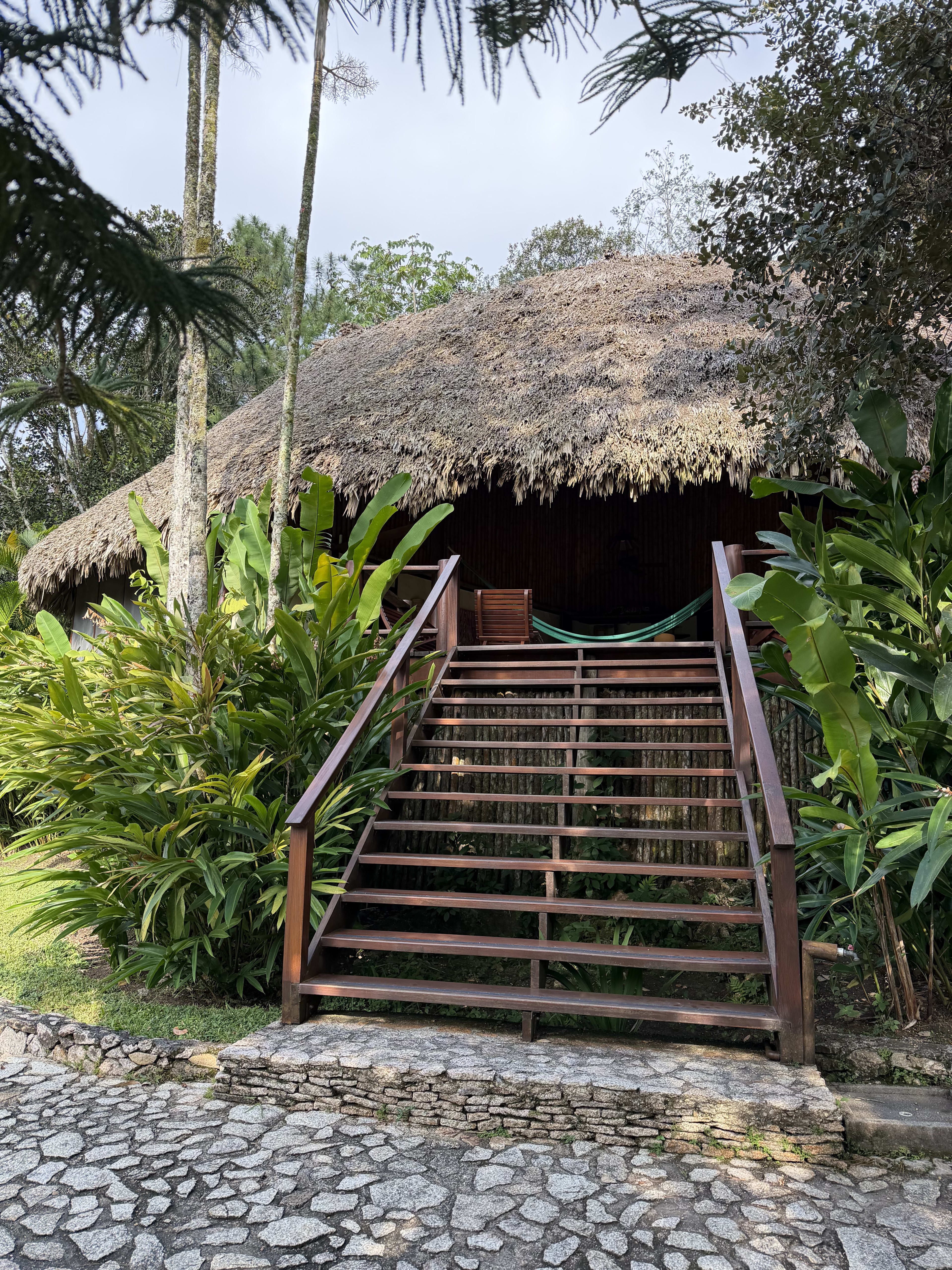 Advisor - From Rainforest to Reef: 1 Week in Belize