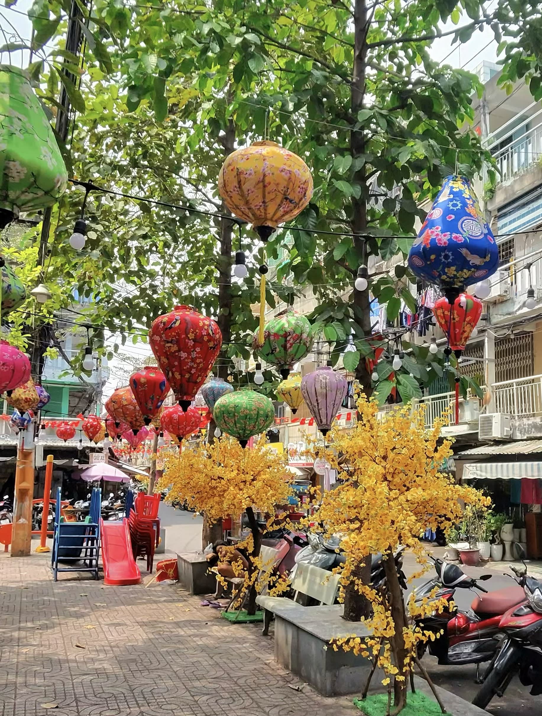 Advisor - Solo Trip to Vietnam: 3-Day Itinerary