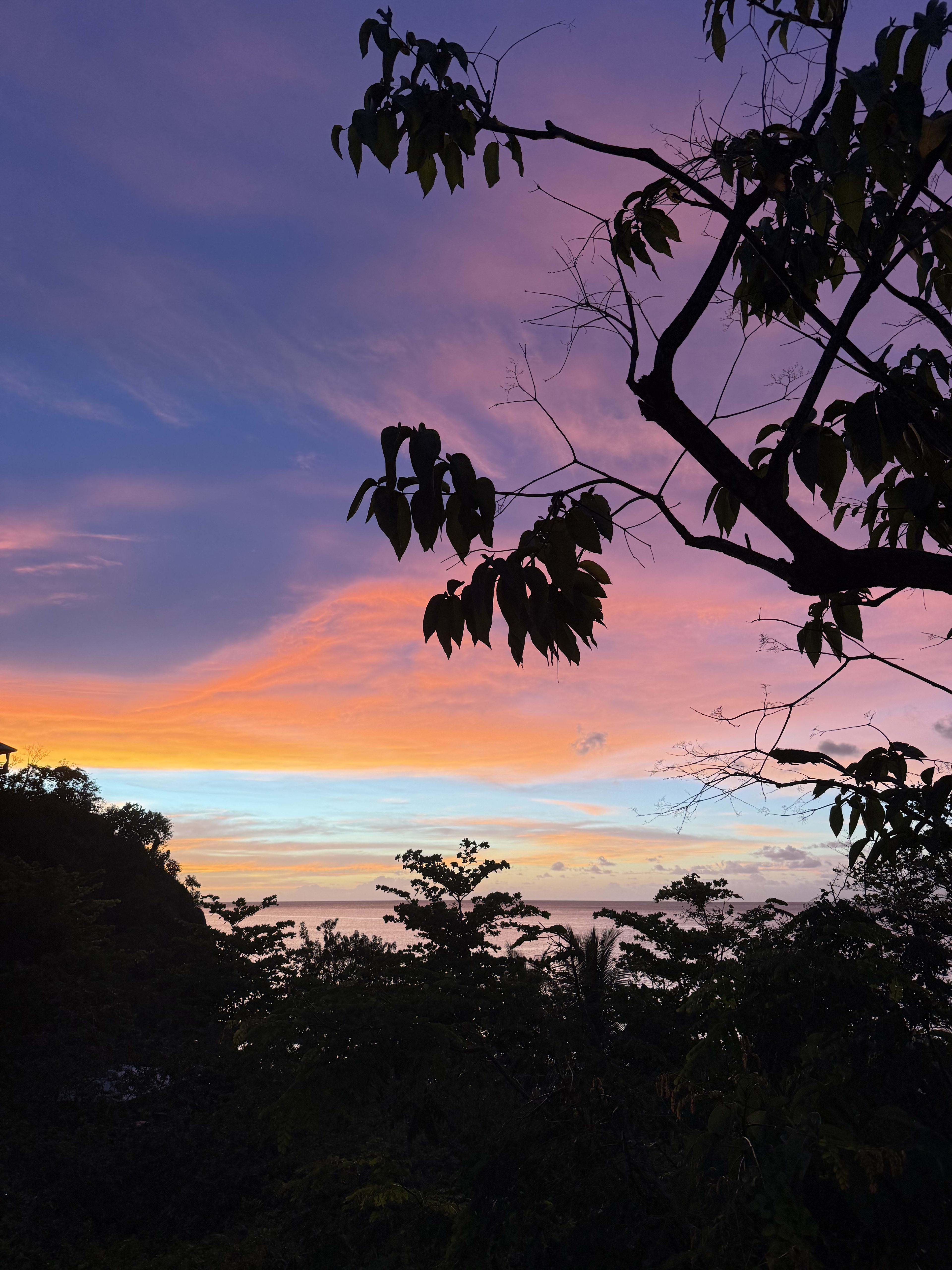 Secret Bay, Dominica: Where the Rainforest Meets the Caribbean Sea