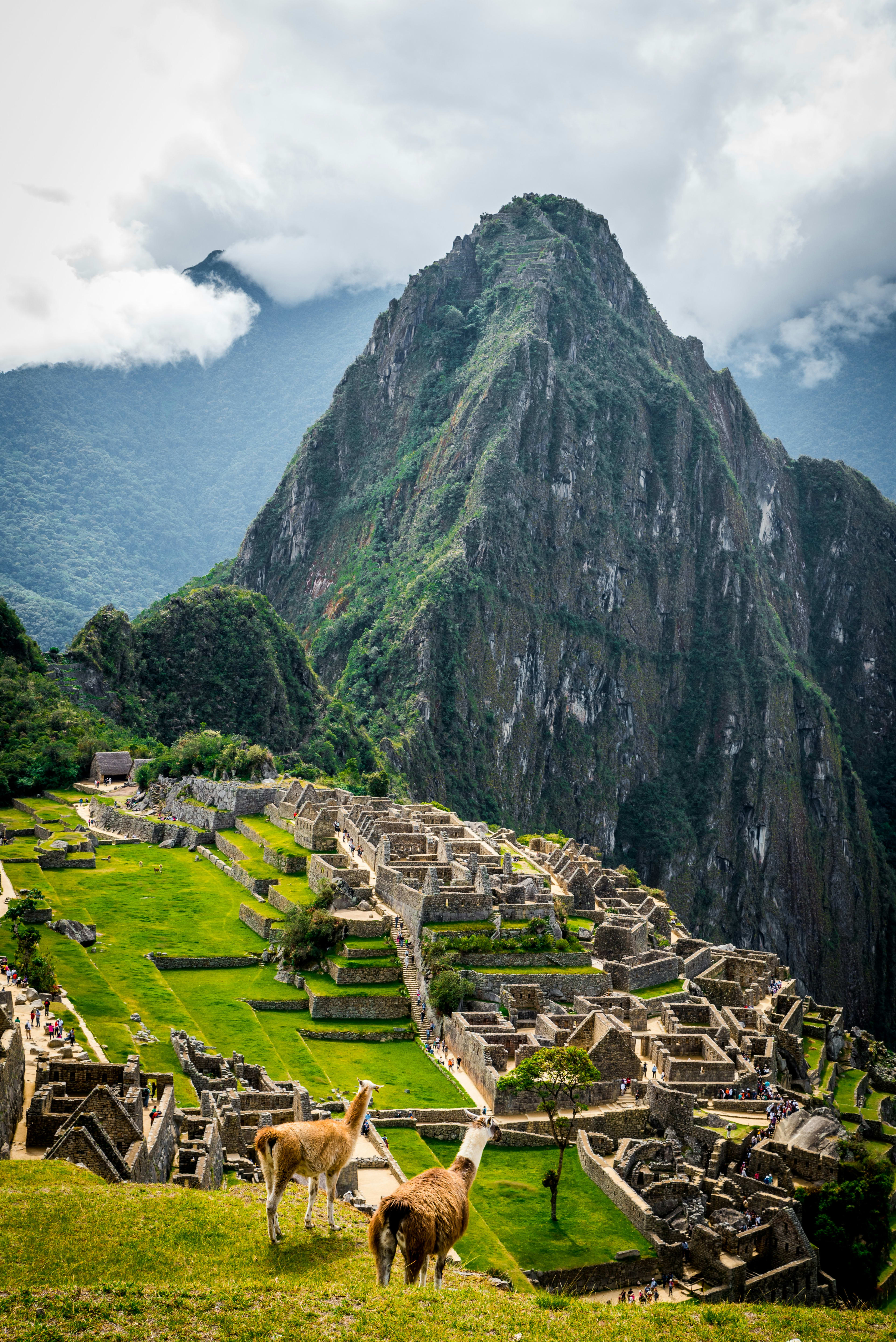 A Magical Day in Machu Picchu