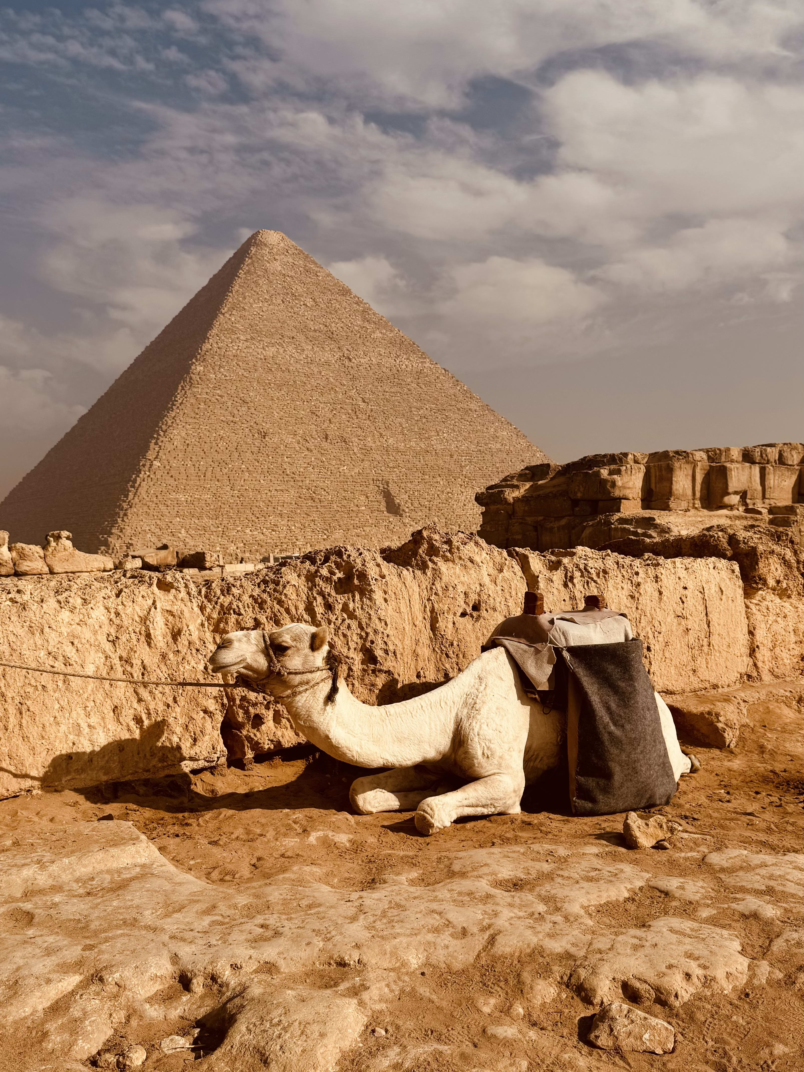 Advisor - 72 Hours in Cairo: Ancient Wonders, Modern Chaos