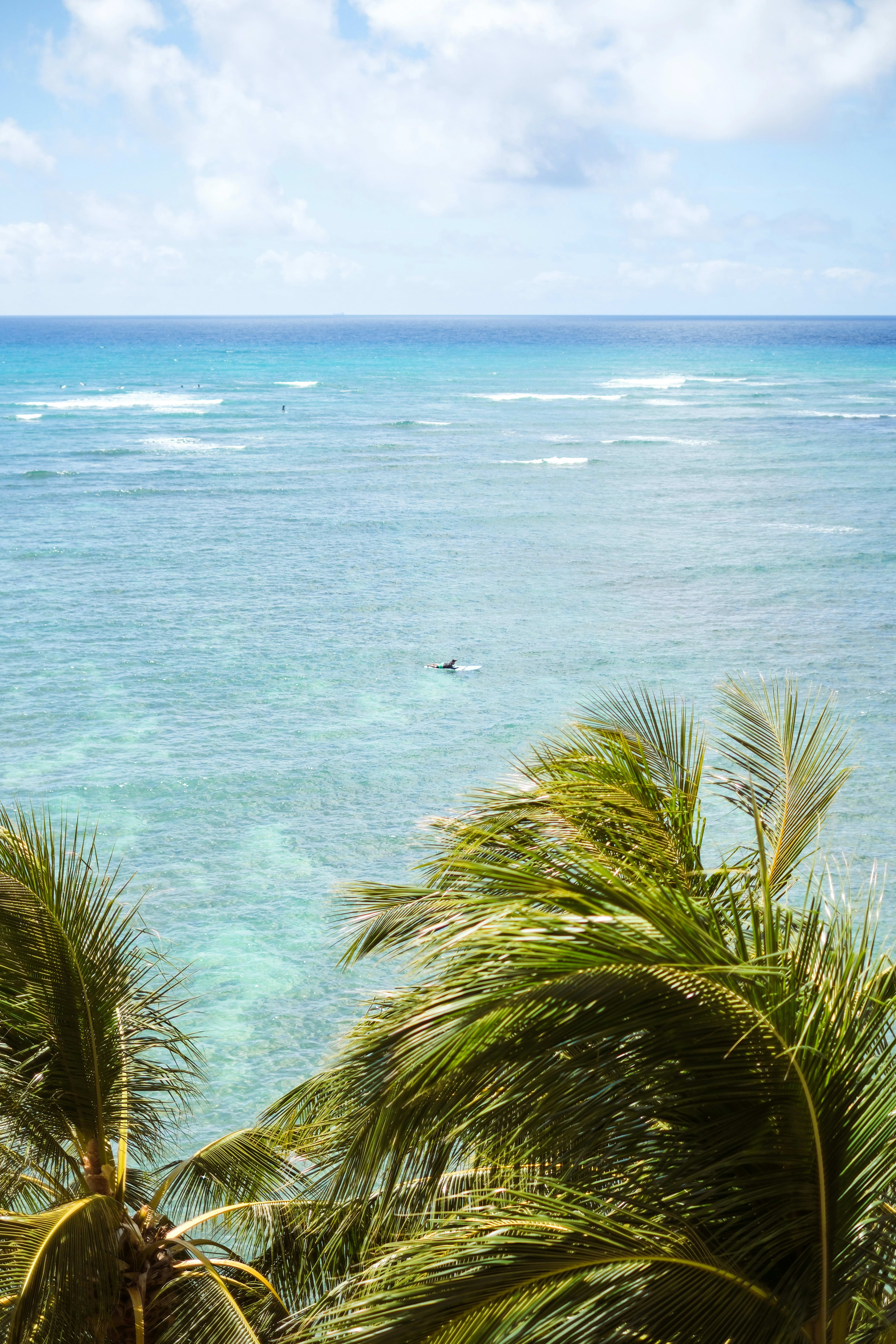 Hotel Spotlight: Paradise at the Sheraton Waikiki Hawai'i