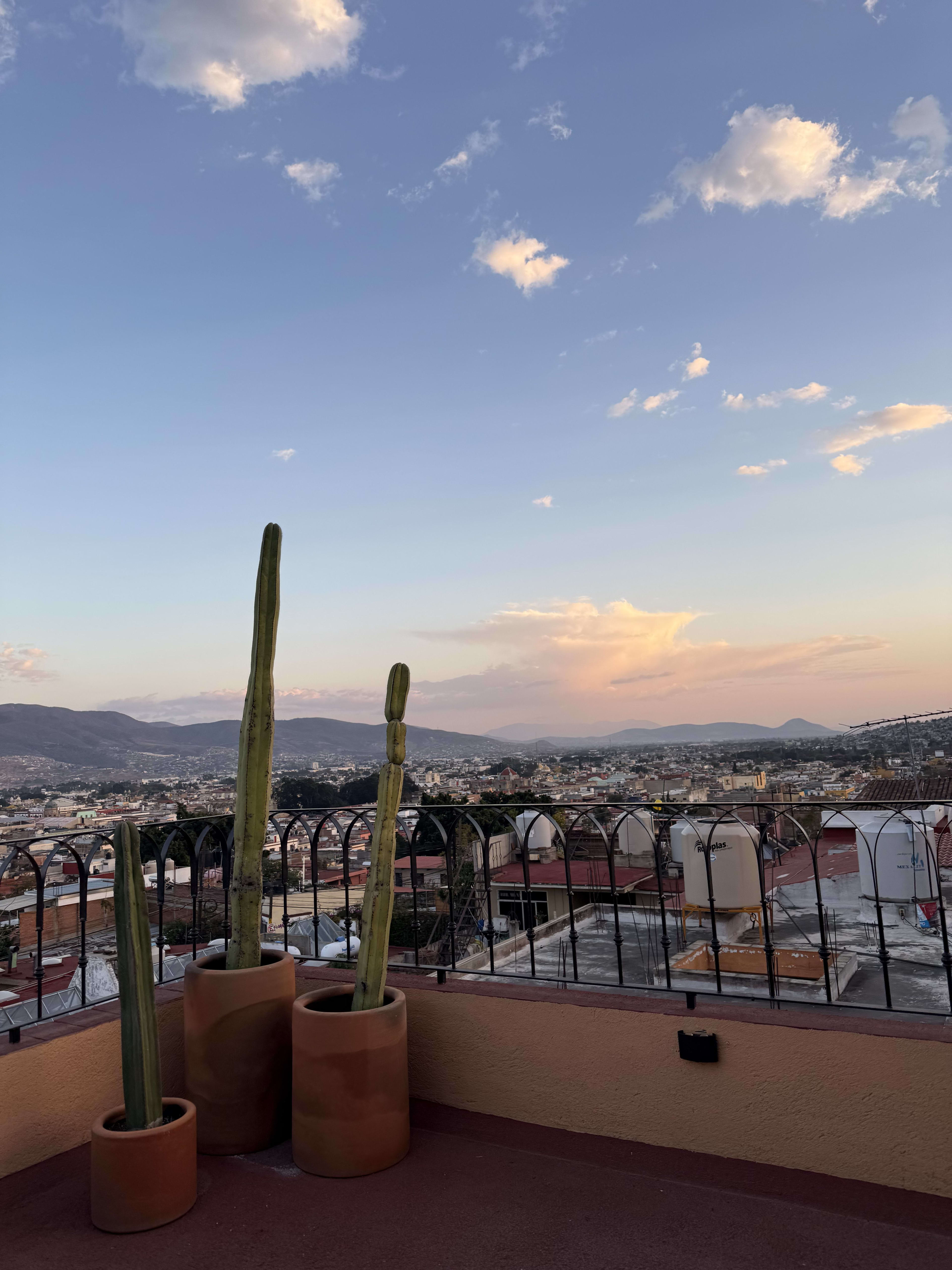 Advisor - Oaxaca City in 3 Days: Artisan Crafts & Unforgettable Flavors