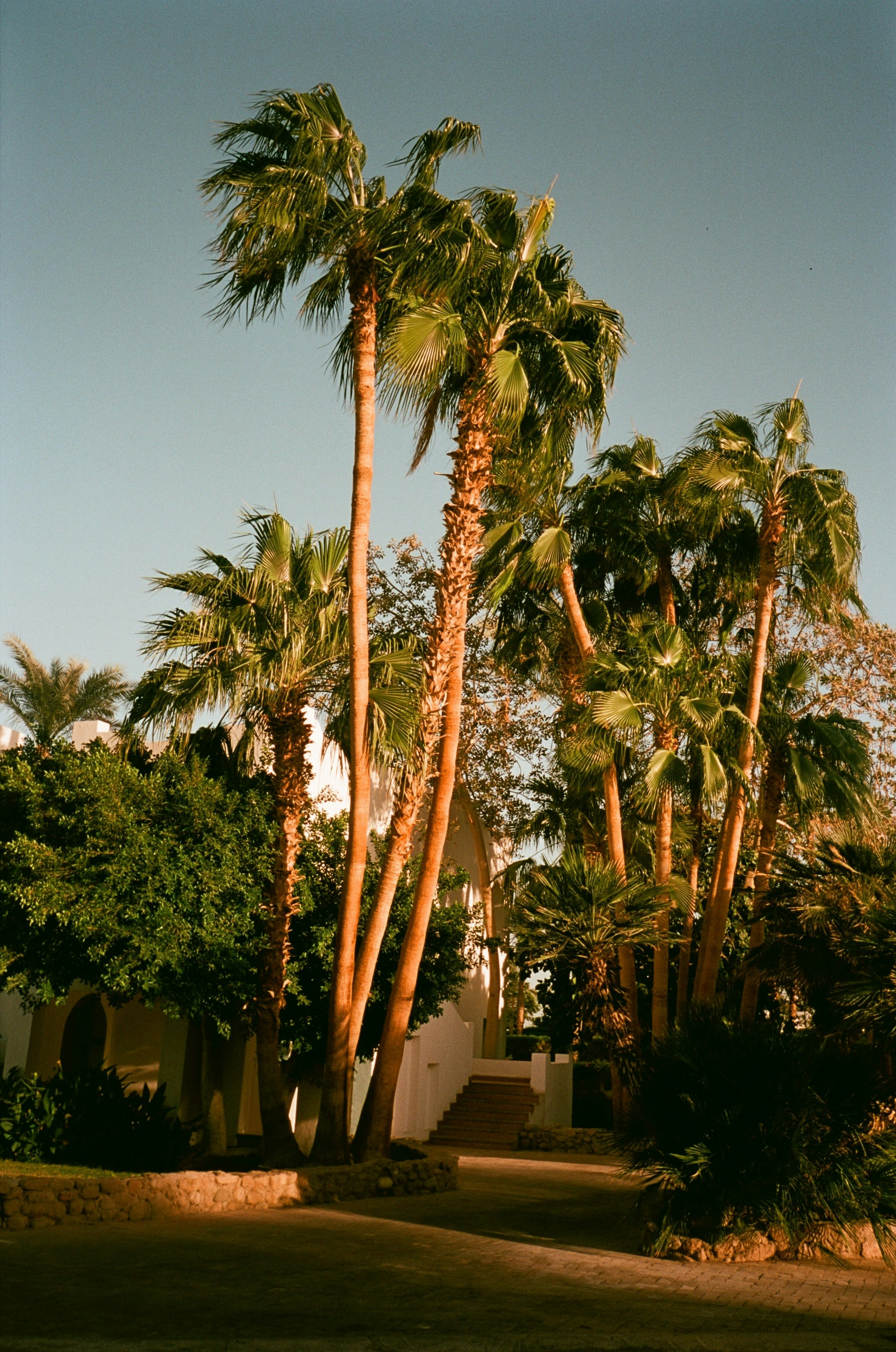 Advisor - A Desert Escape: Palm Springs, Desert Hot Springs and Joshua Tree