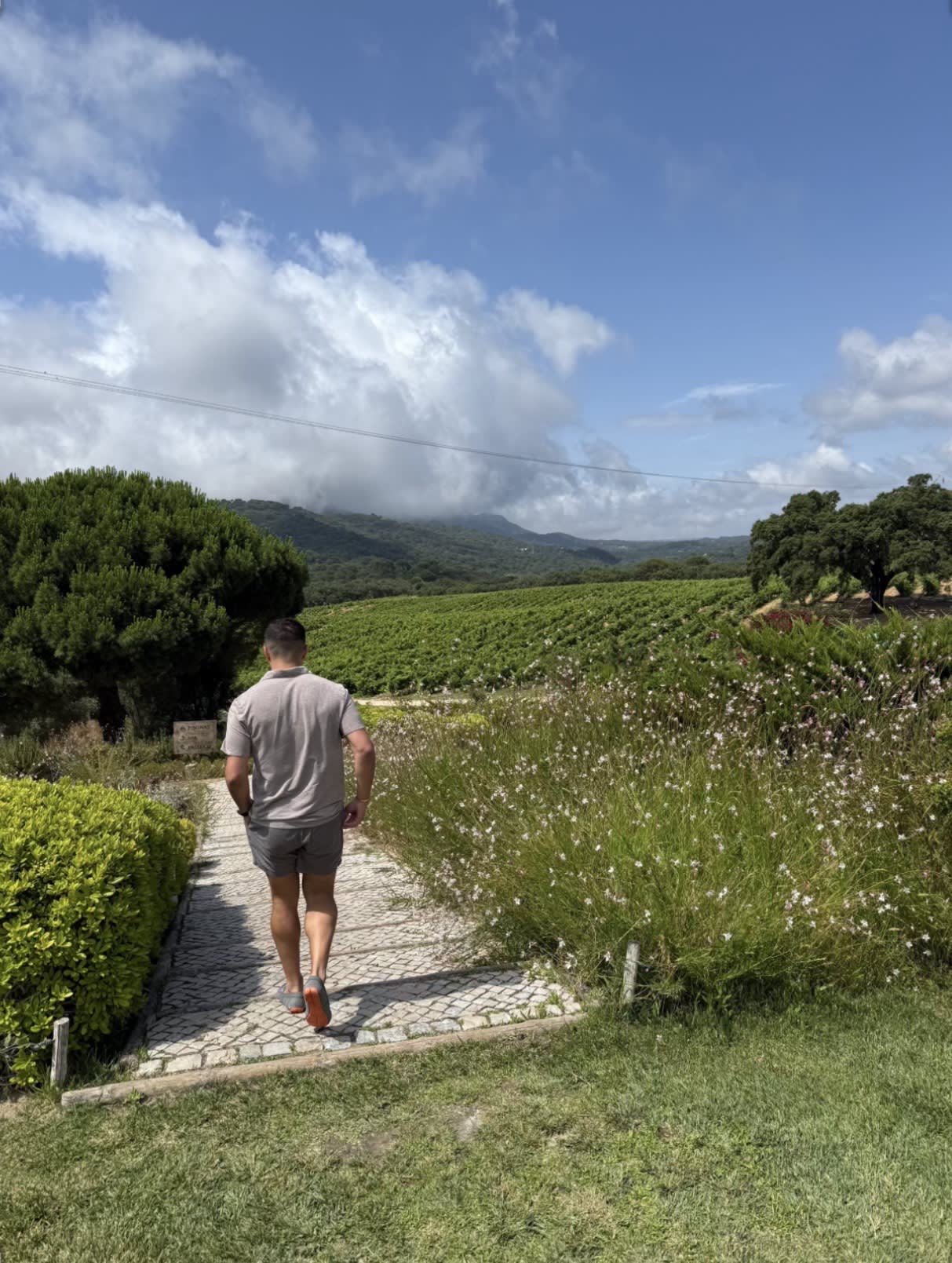 Hotel Casa Palmela: A Hidden Gem Among the Vines of Portugal