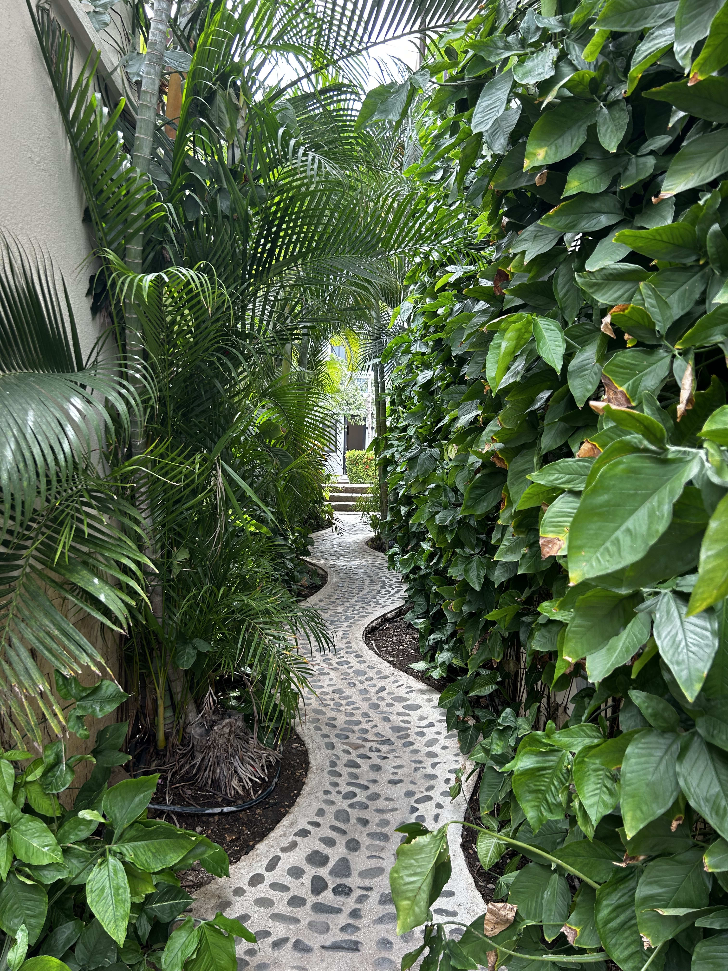 Advisor - Adventurous & Romantic Escape: The Ultimate Guide to Costa Rica