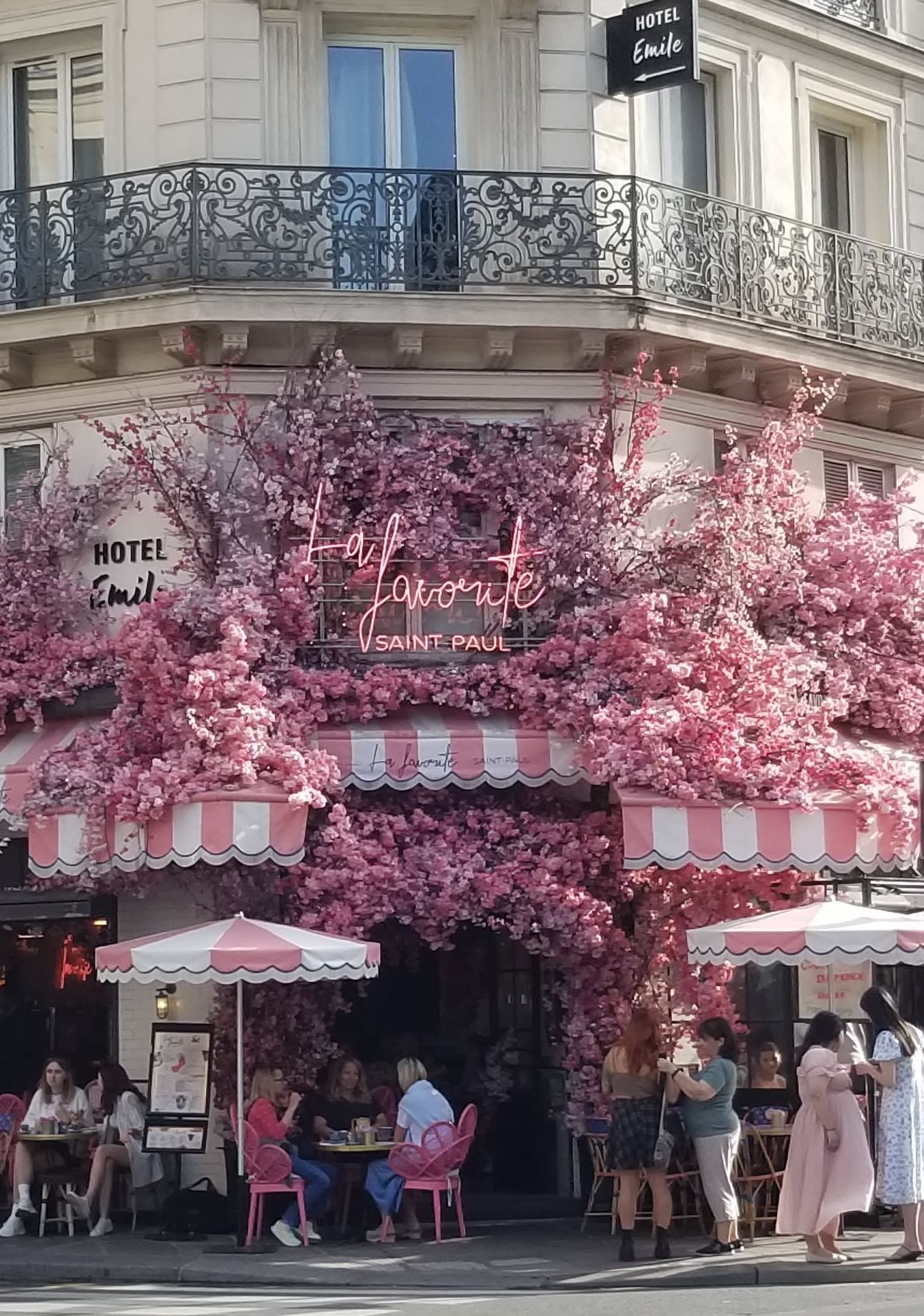The Paris We Loved: Gardens, Pastries & Literary Treasures