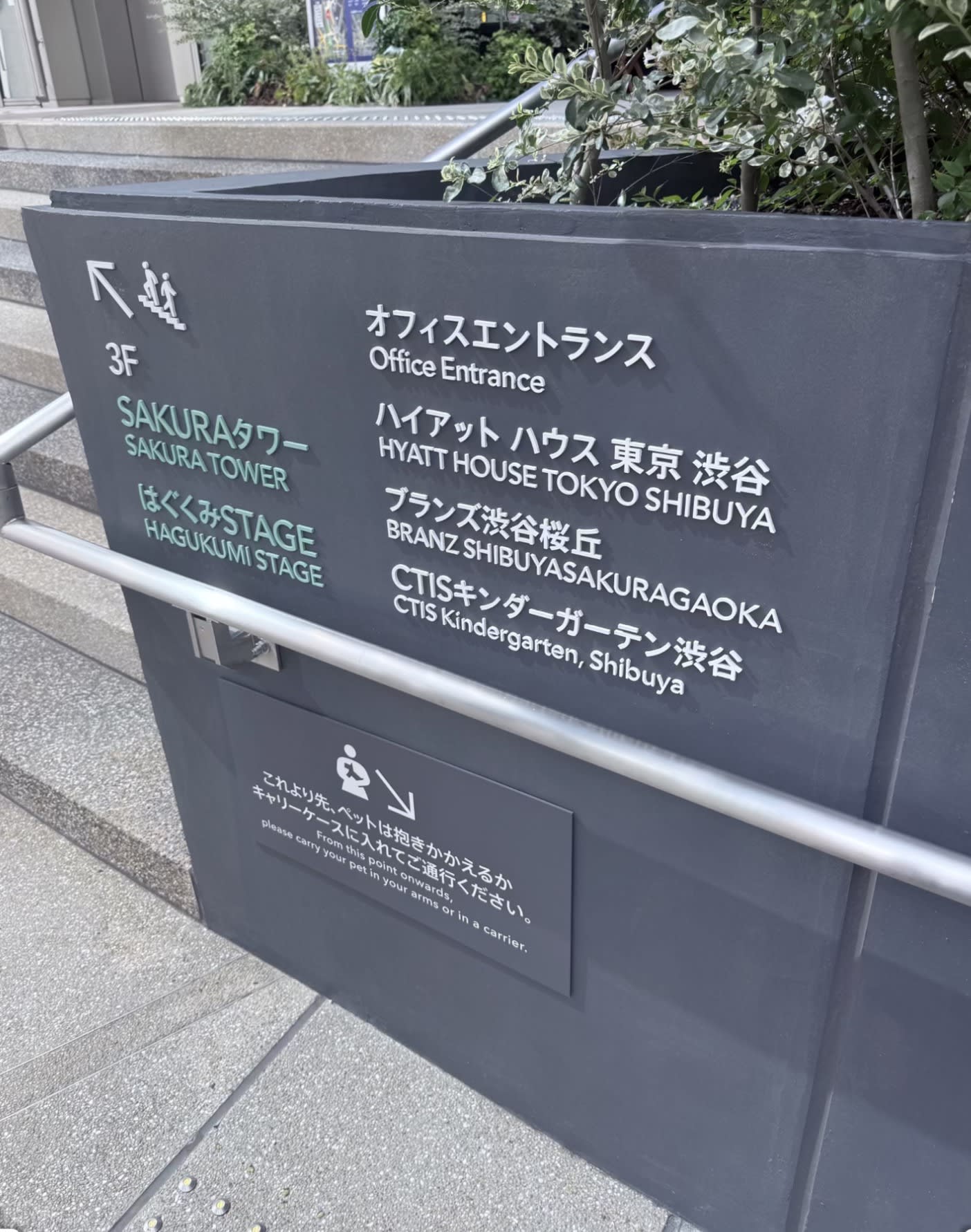 Why Hyatt House Shibuya Is One of the Best Tokyo Hotels for Chronic Illness Travelers