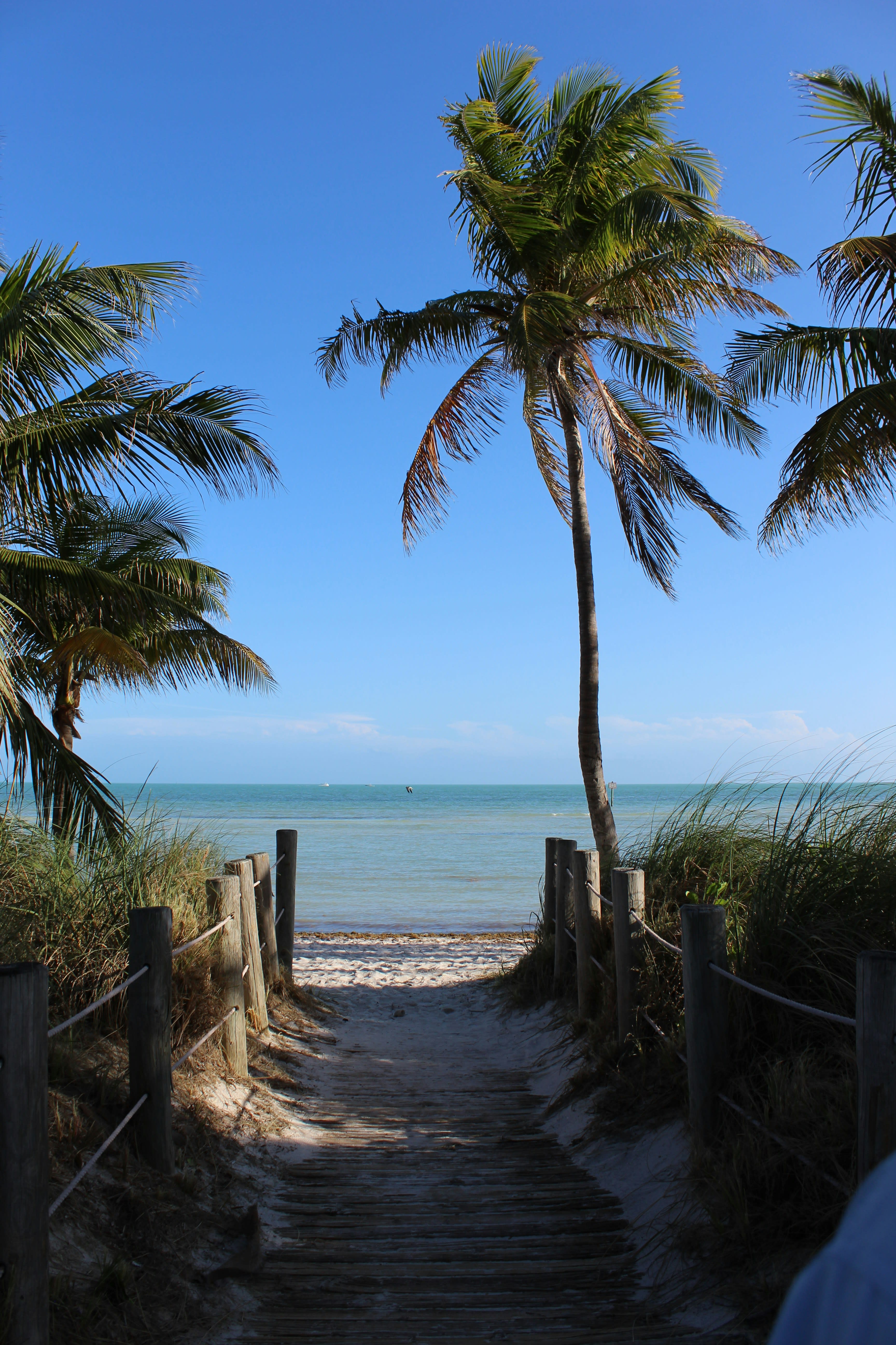 Waterfront Holidays: Key West Christmas Road Trip