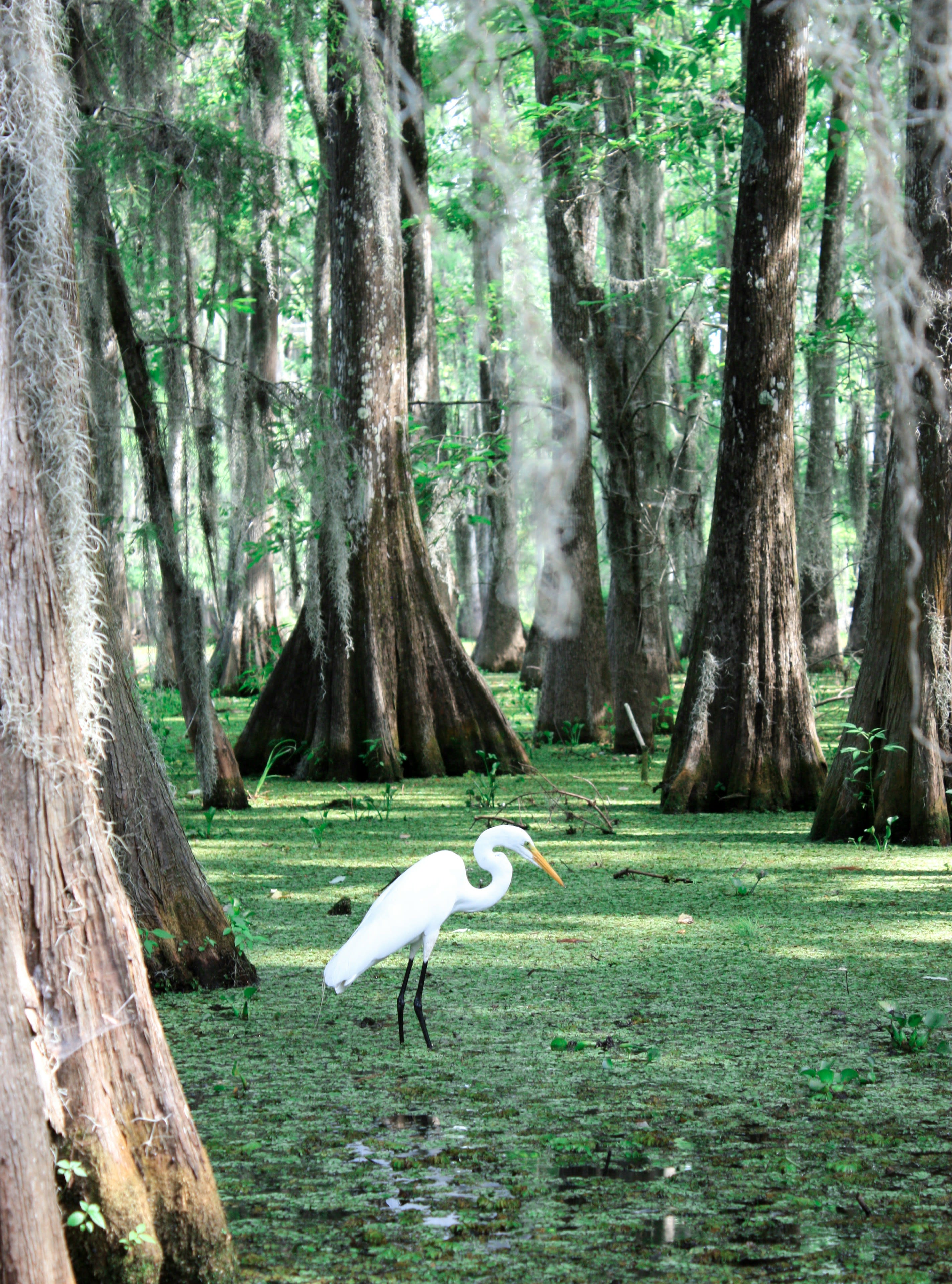The Magic of New Orleans: Good Times in the Big Easy