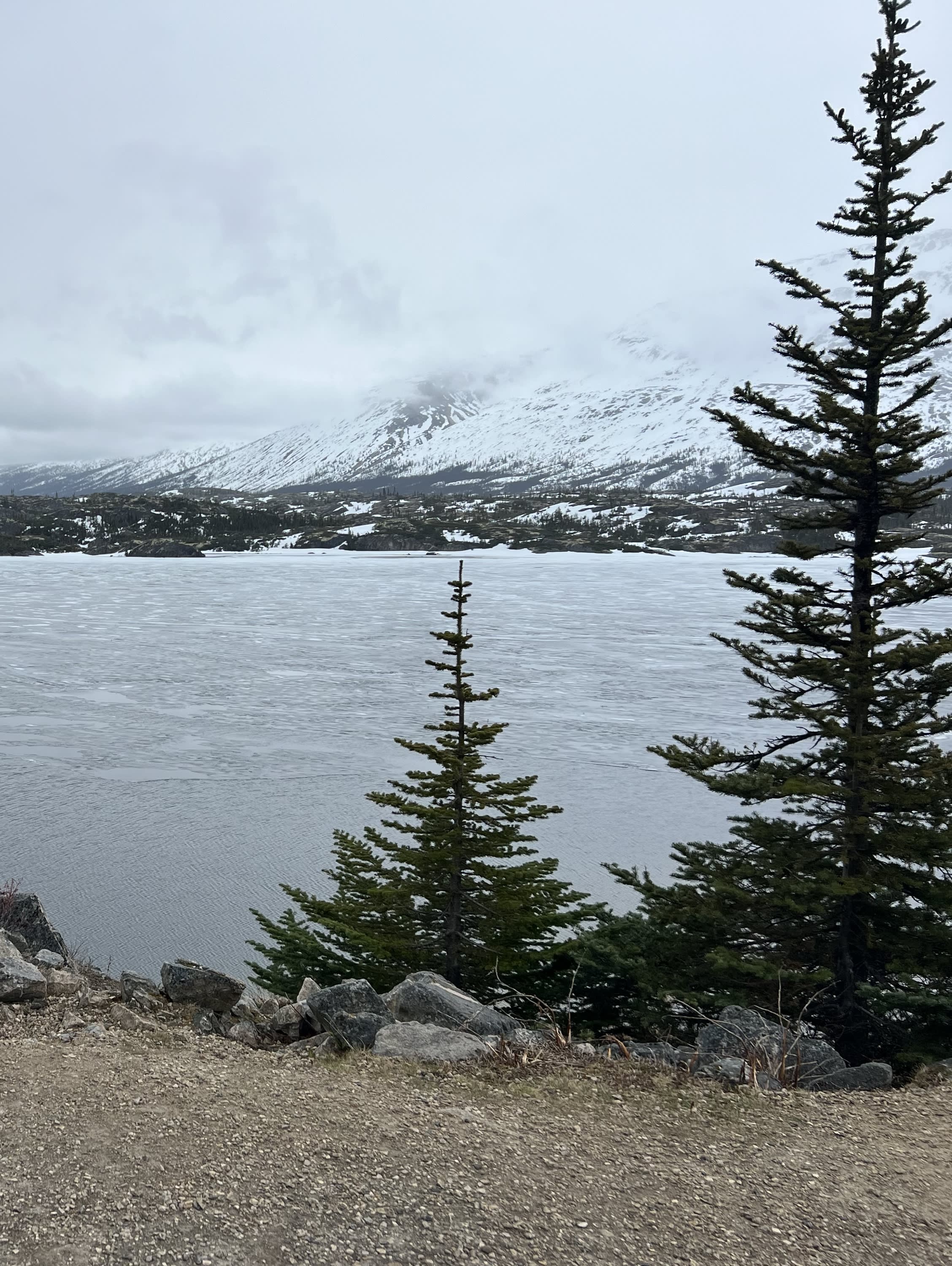 Alaska Cruise on Royal Caribbean