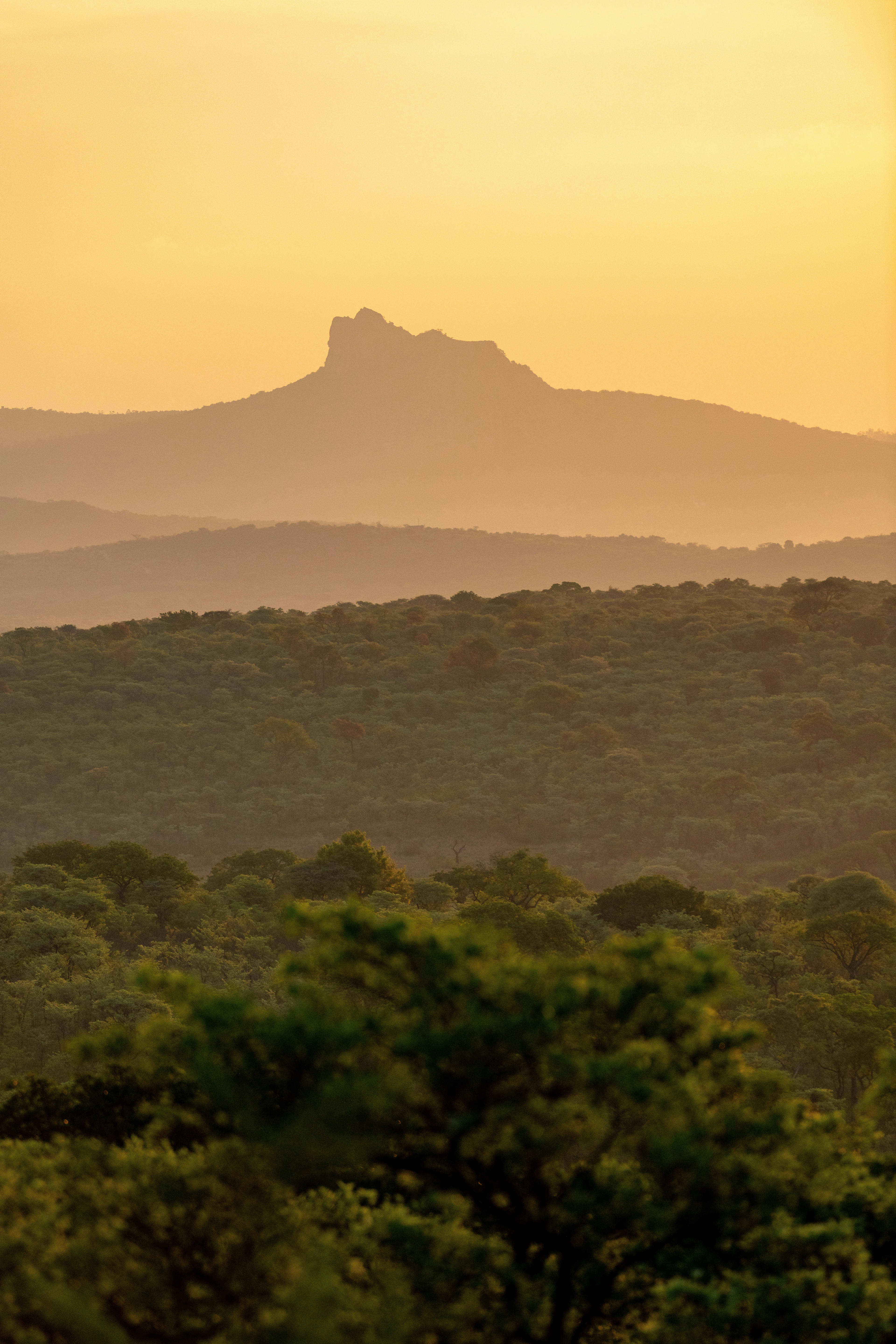 MalaMala Camp: The Ultimate South African Safari