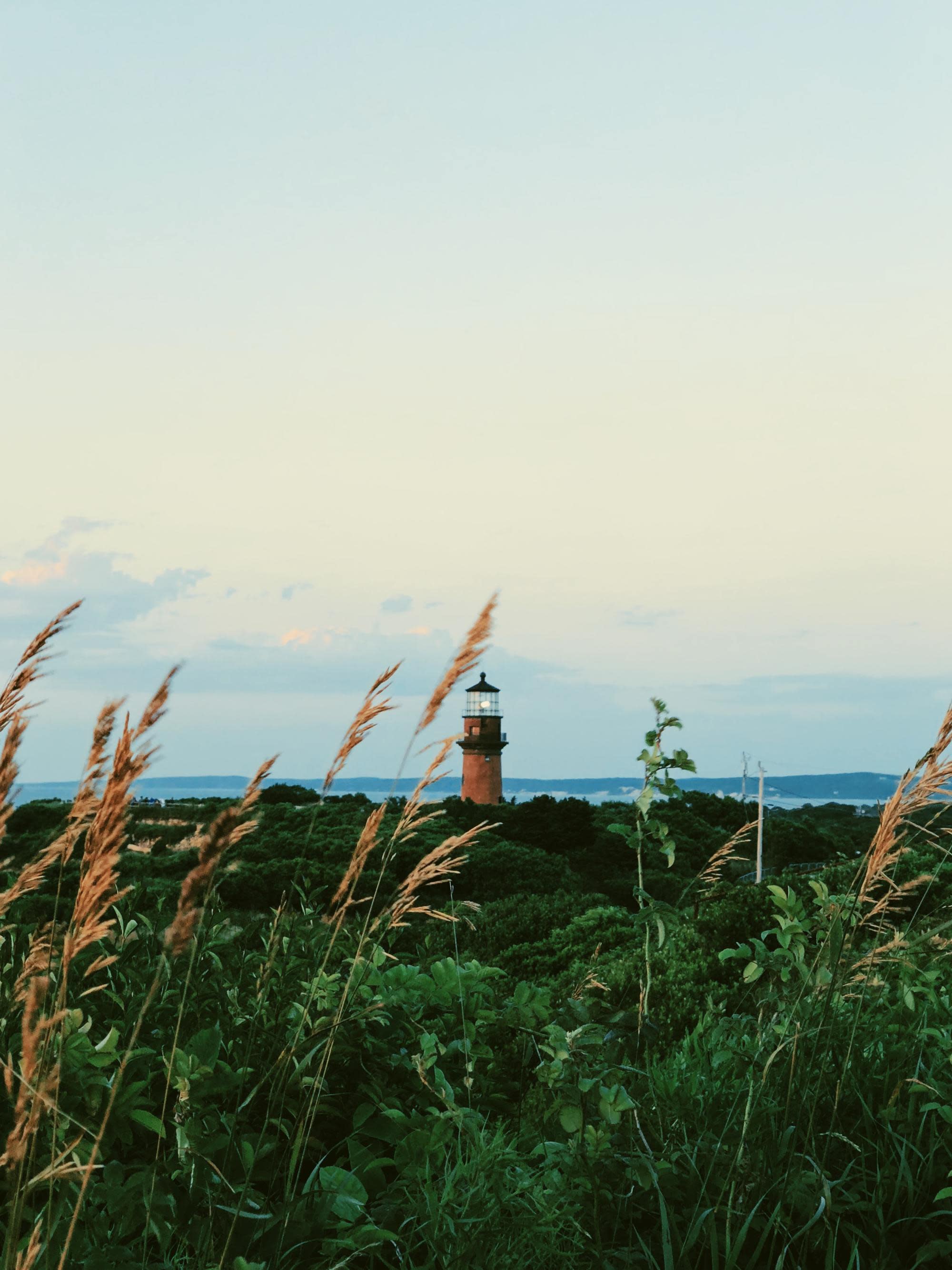 lighthouse in the distance of a overgrown field with blue sky and ocean beyond