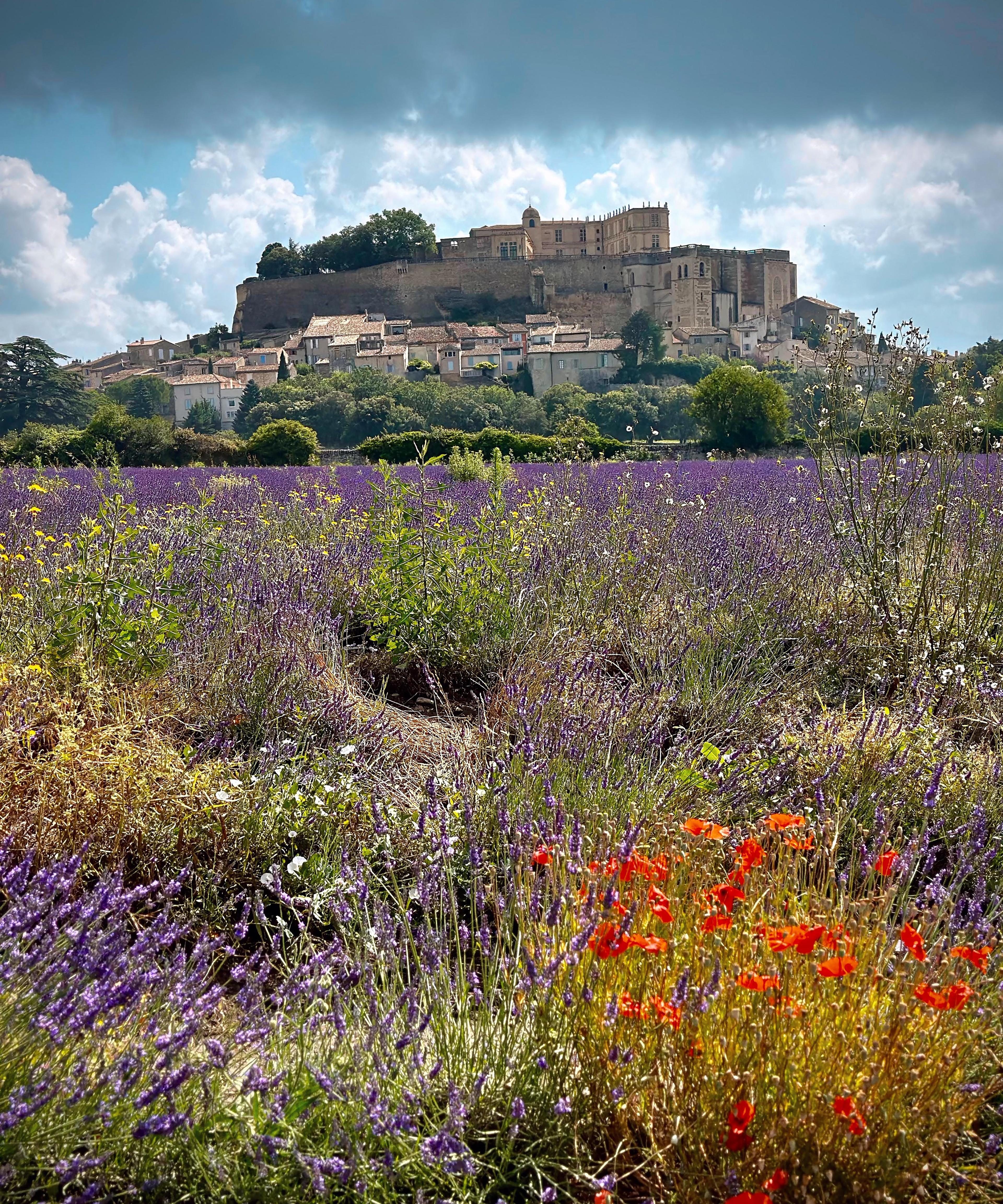 Wildflowers in a field in front of a castle.