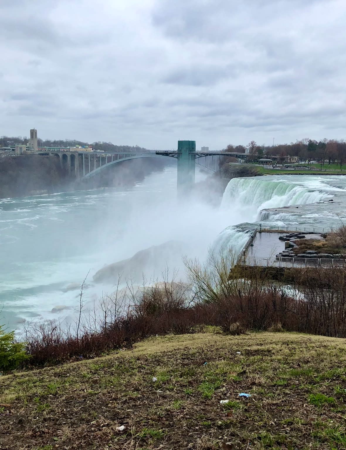 A view of an immense waterfall, Niagara Falls, with wild grass in the forefront of the image.