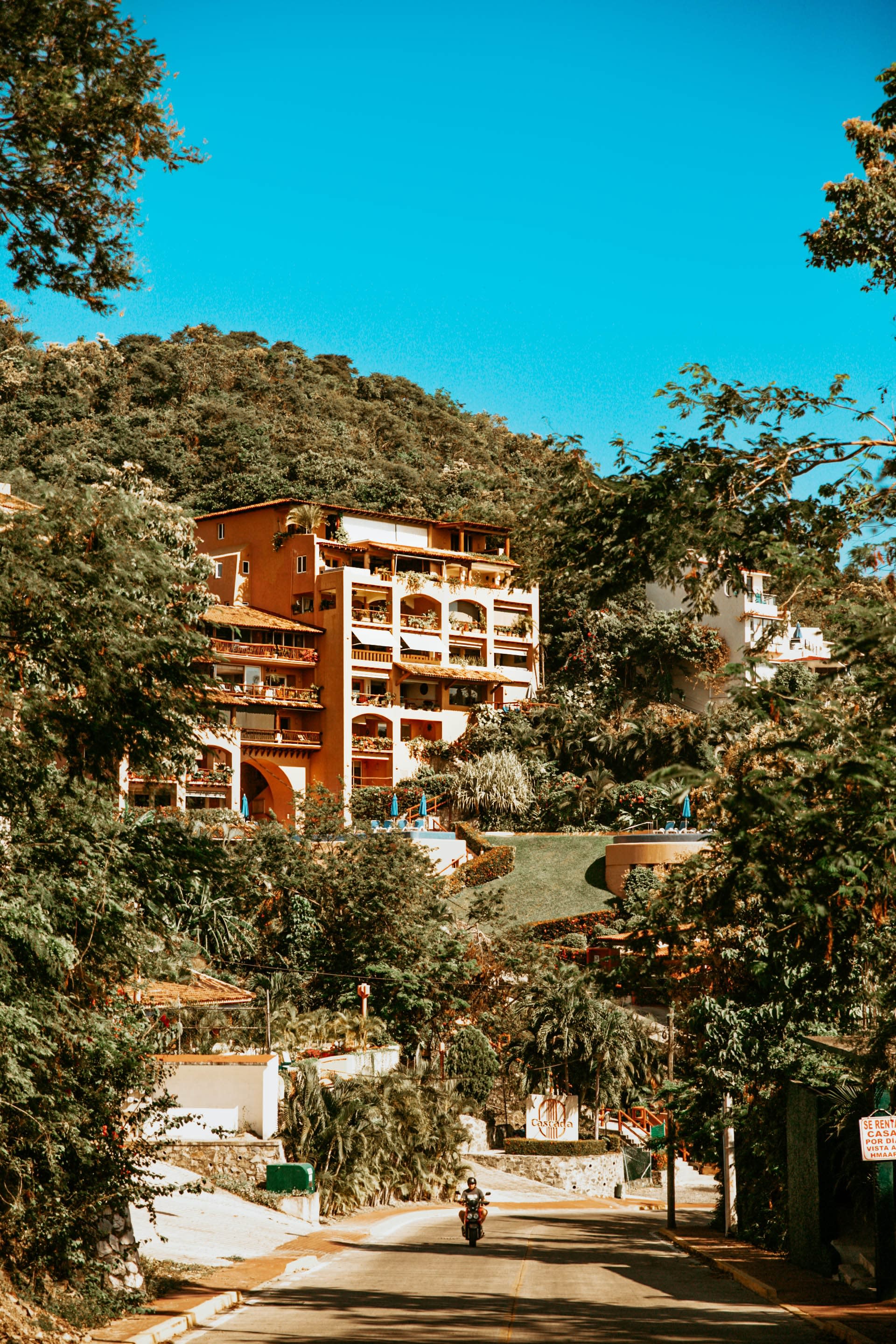 Street leading to house surrounded by trees in Ixtapa, Mexico