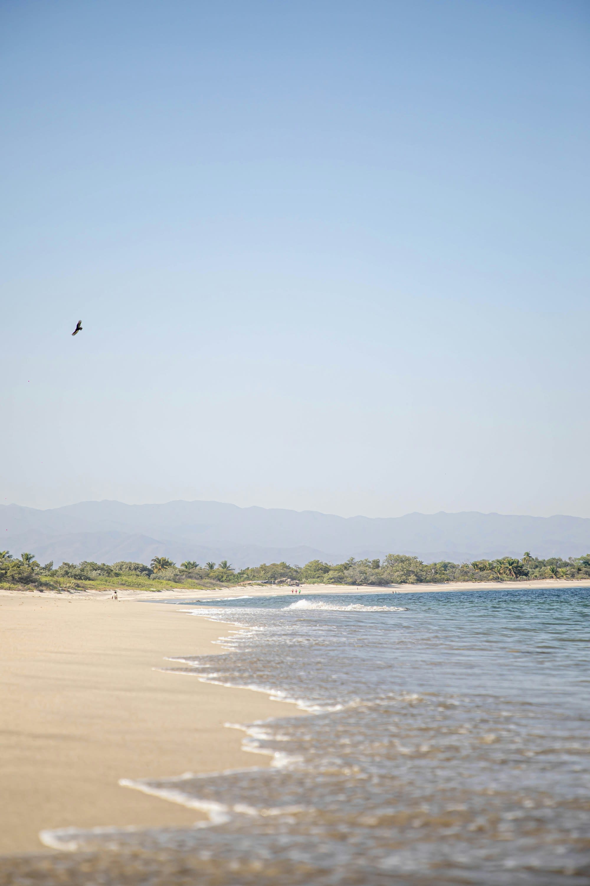 Beach at daytime.