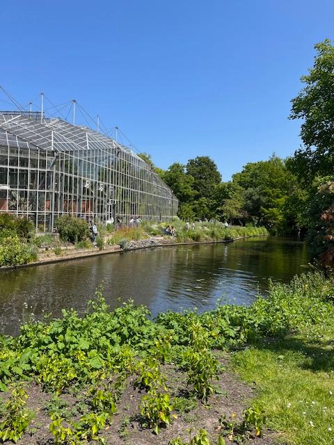 A garden during the daytime with a glass greenhouse in the distance