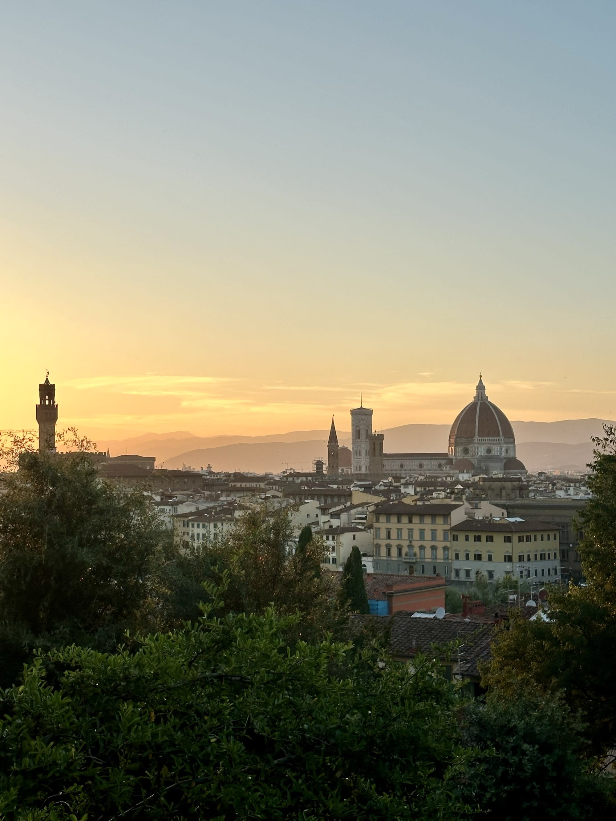 Skyline of city at sunset.