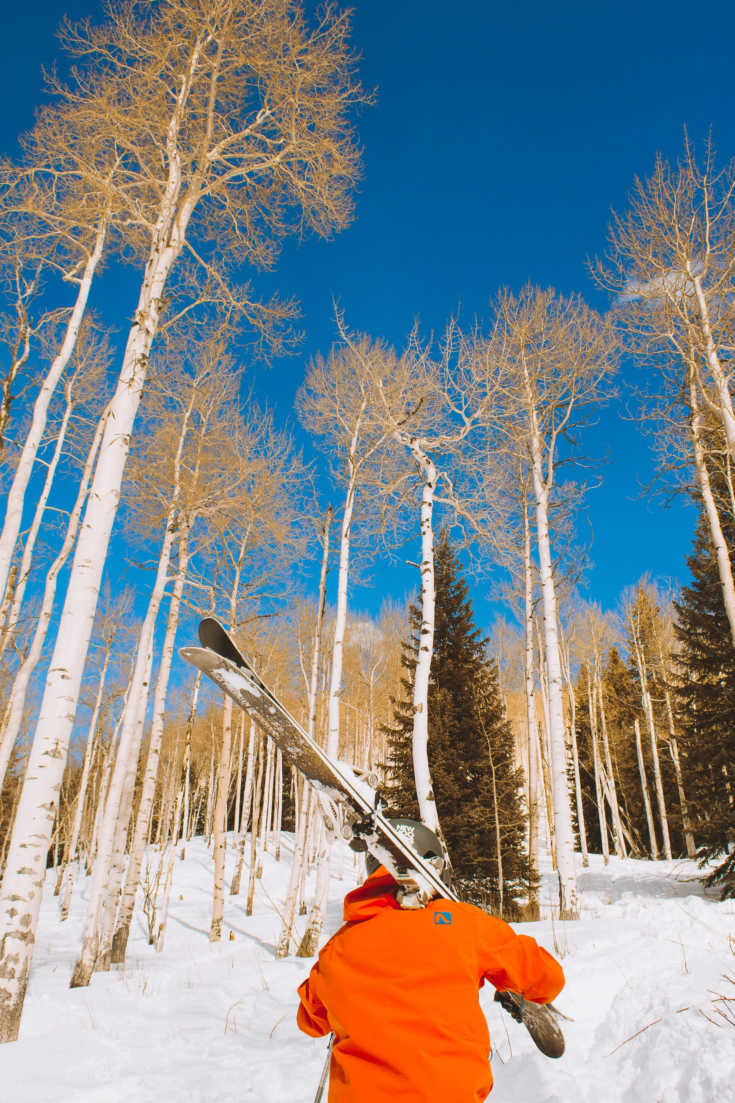 Ski Trip to Vail in March