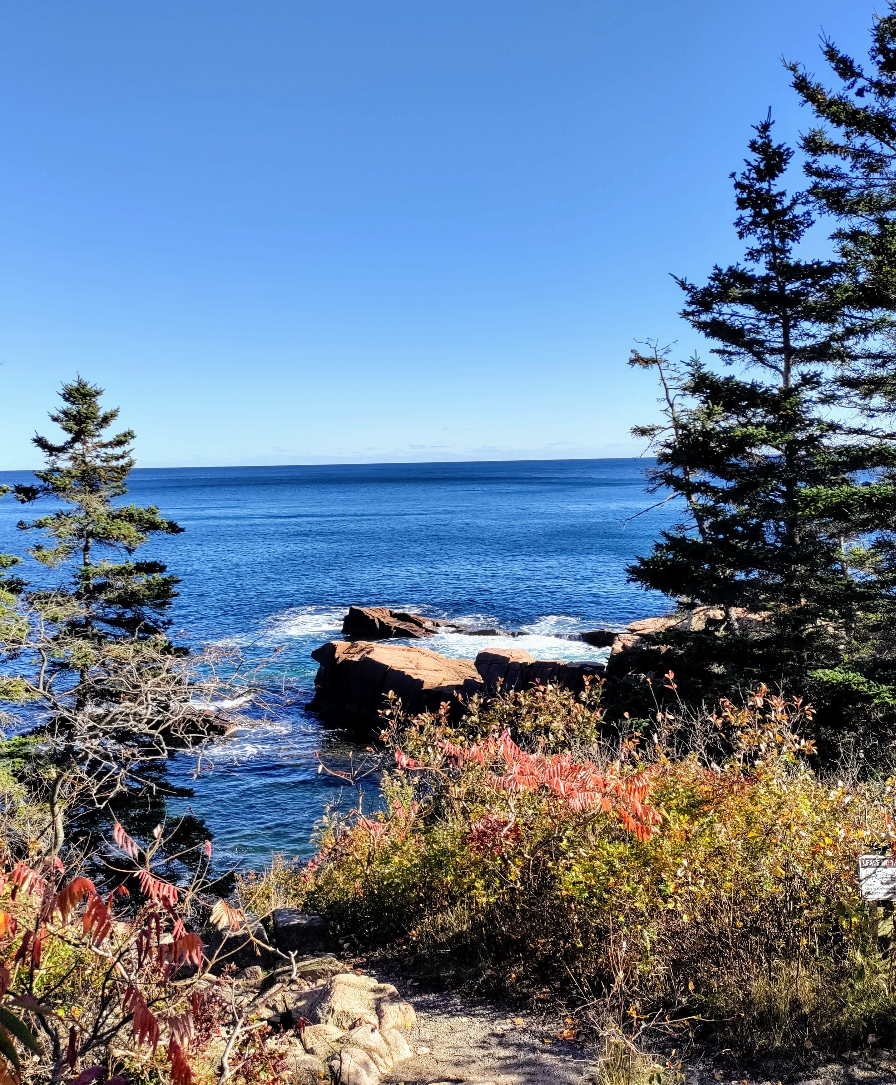 Scenic view of Arcadia National Park.