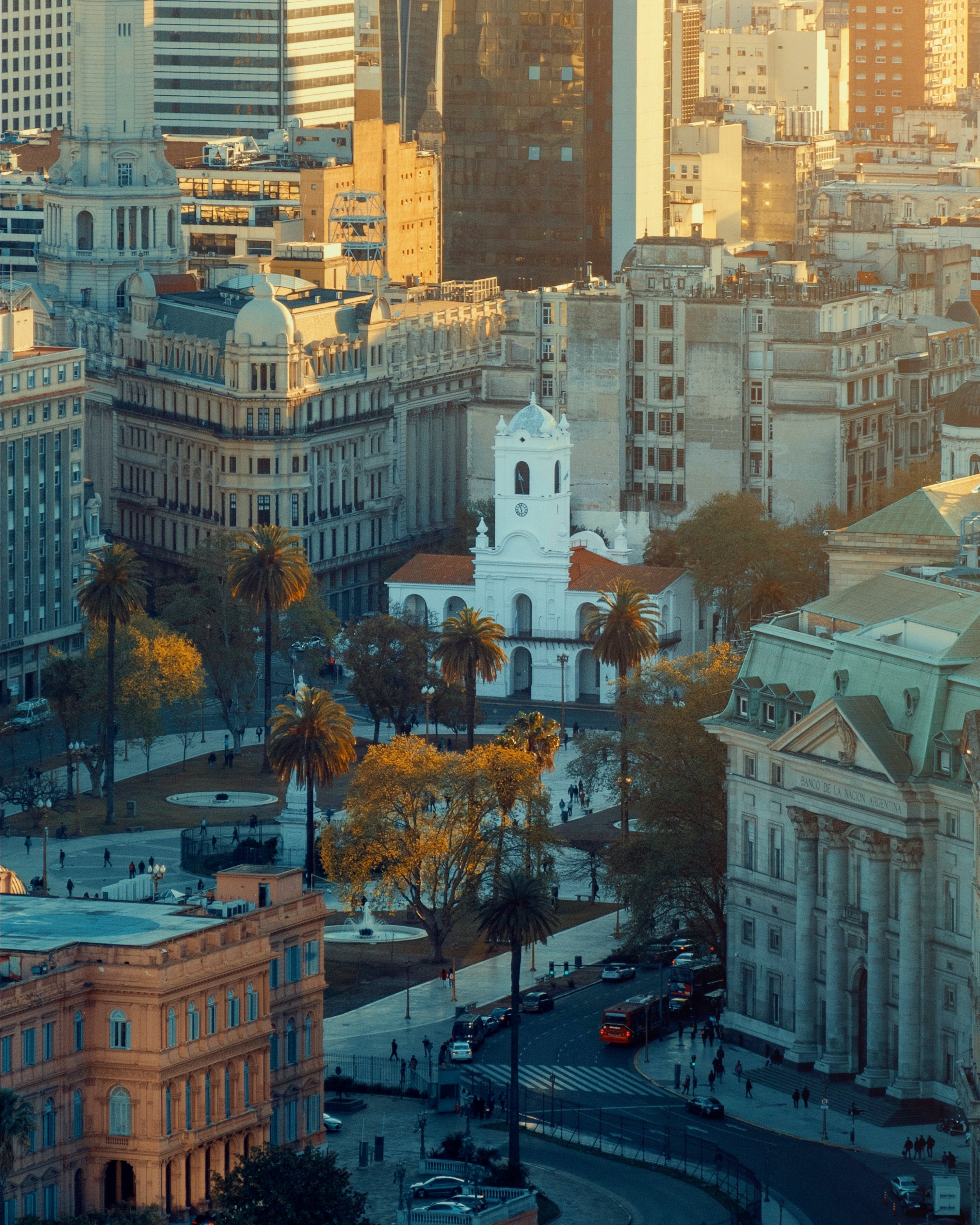 Buenos Ariel View