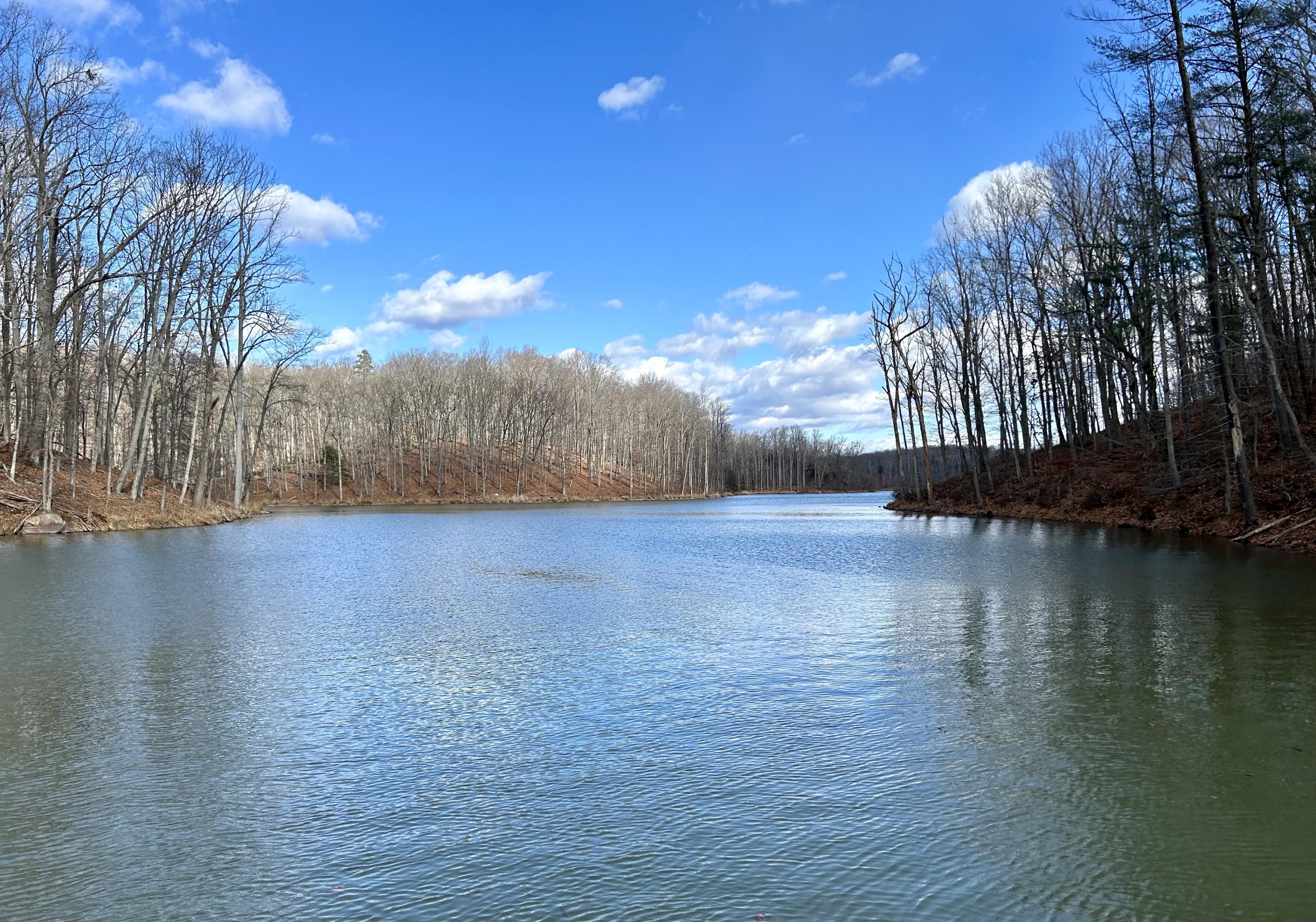A large body of water surrounded by trees