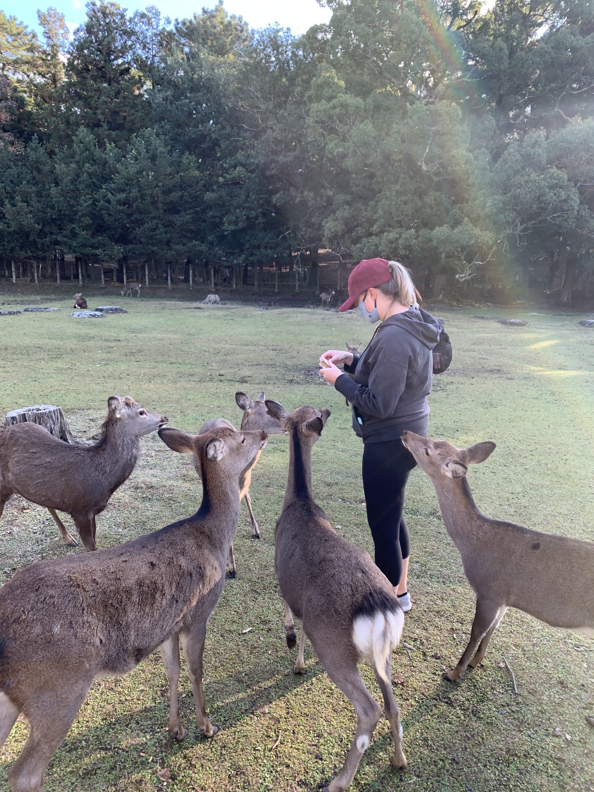 A woman standing among deer in a green field.