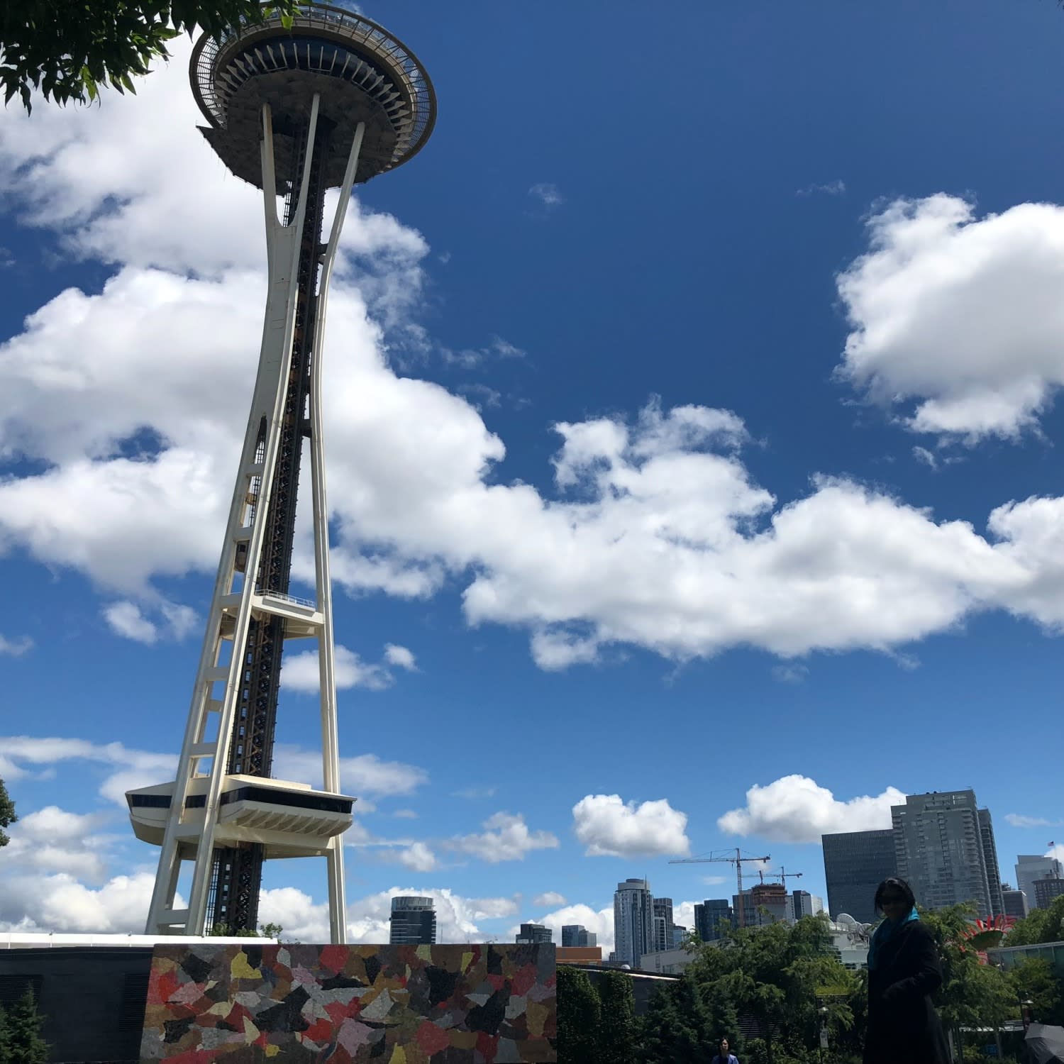 Cityscape Photo of The Space Needle Observation Tower in Seattle, Washington