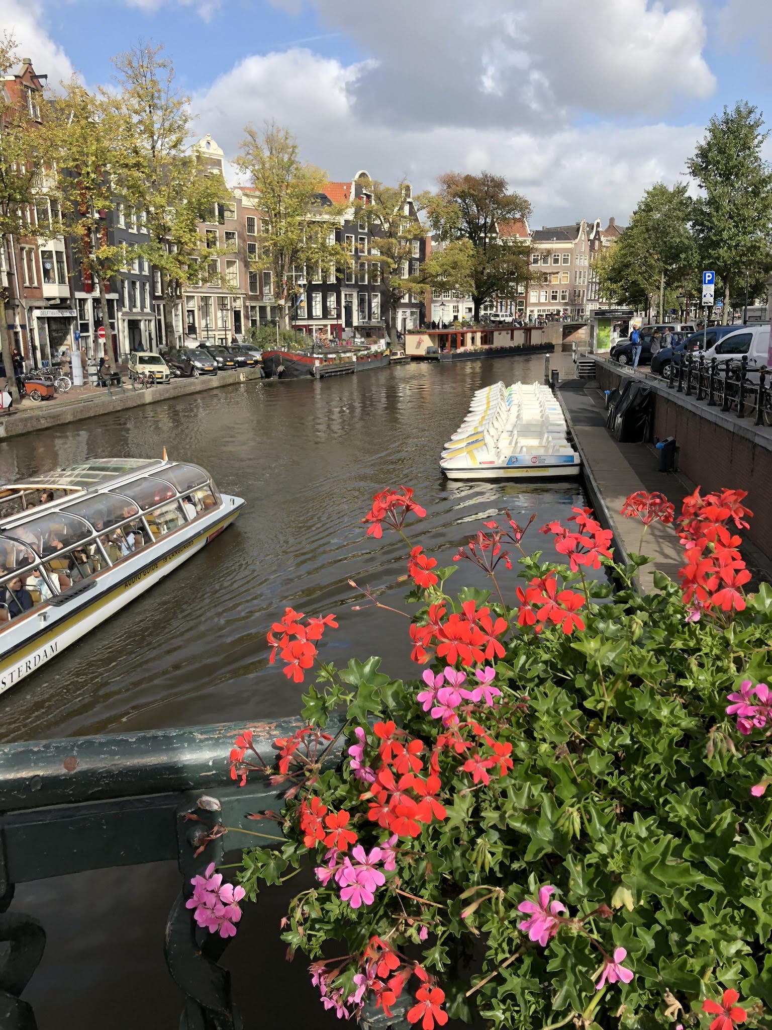 Riven in Amsterdam