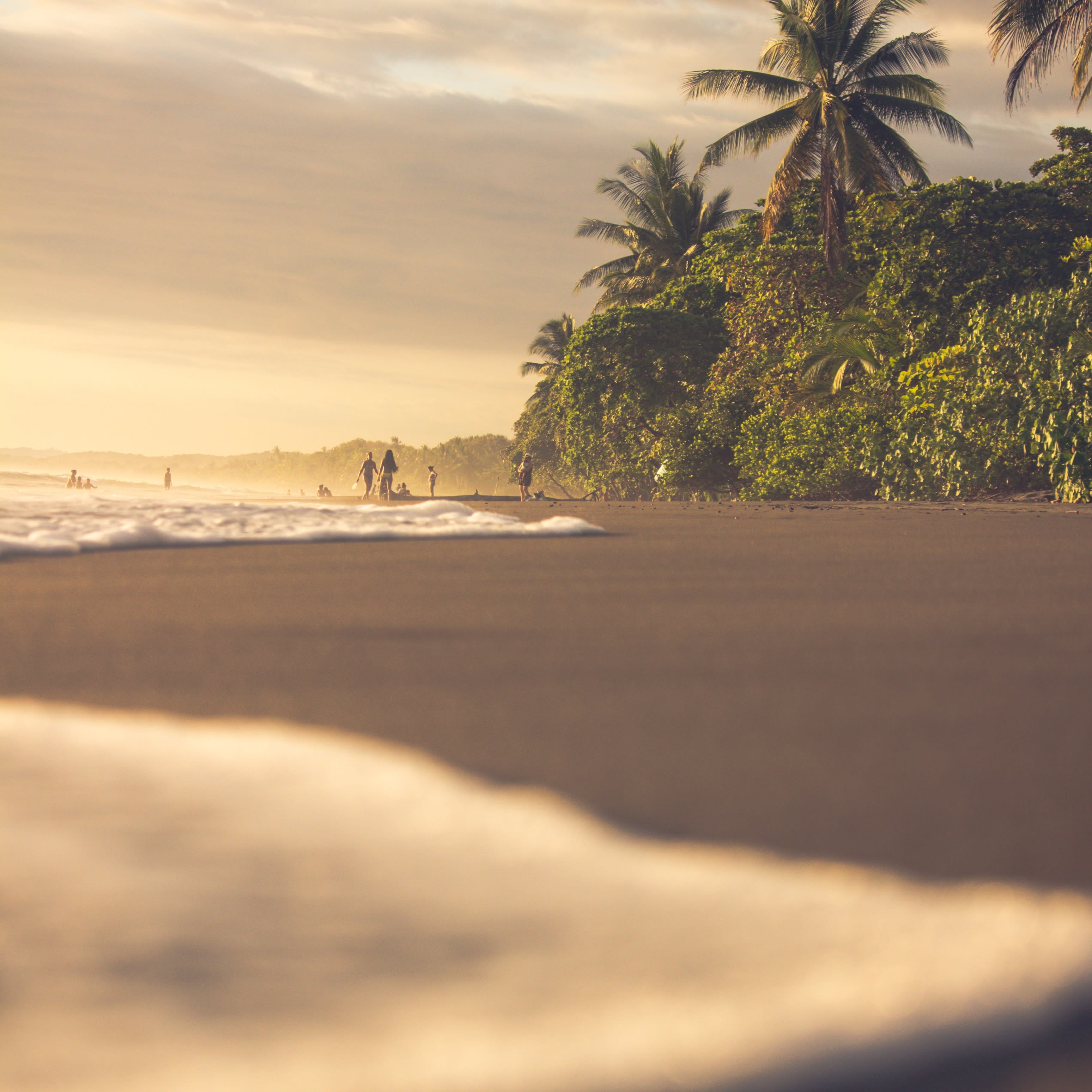 People during daytime on the beach