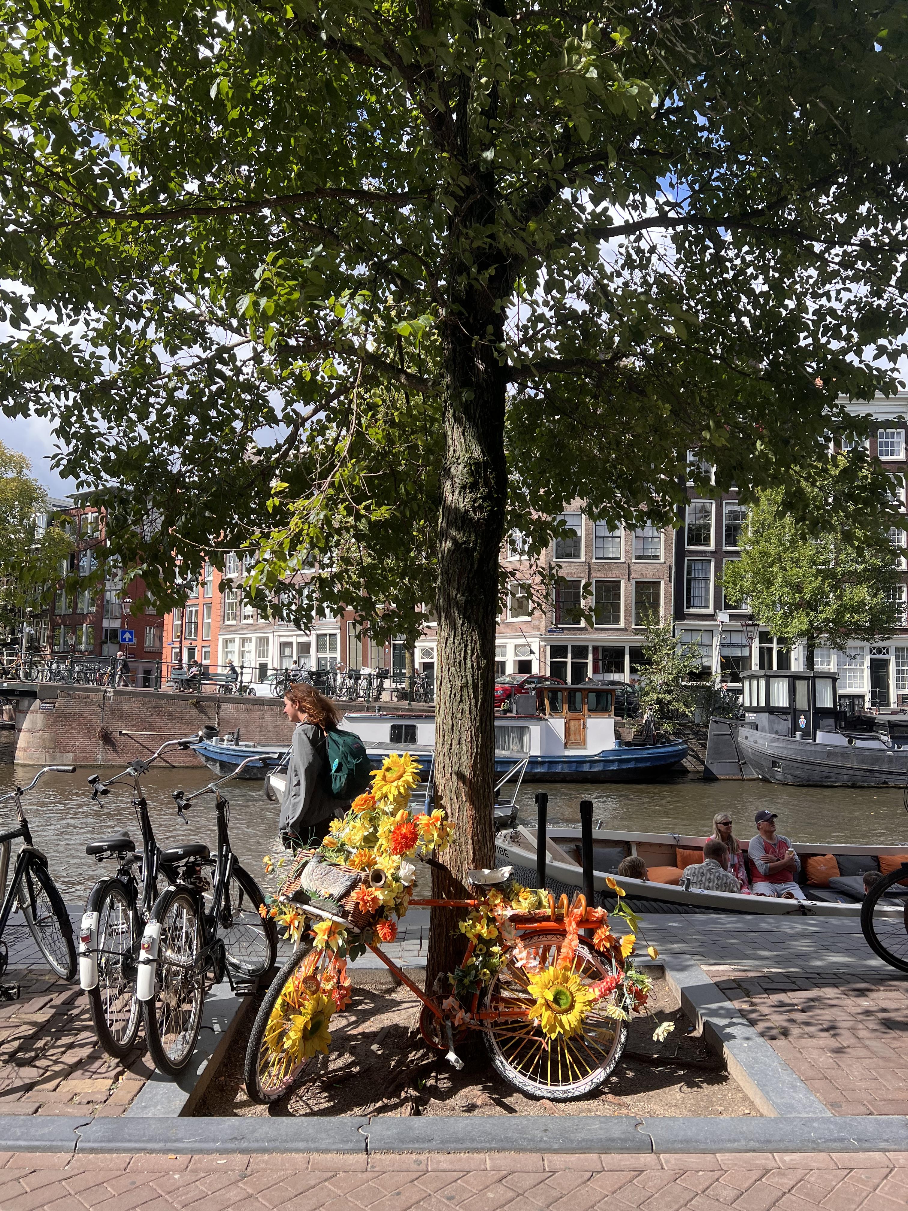 Artist Warren Gregory, known as “The Flower Bike Man”, is the man behind the floral bikes of Amsterdam.