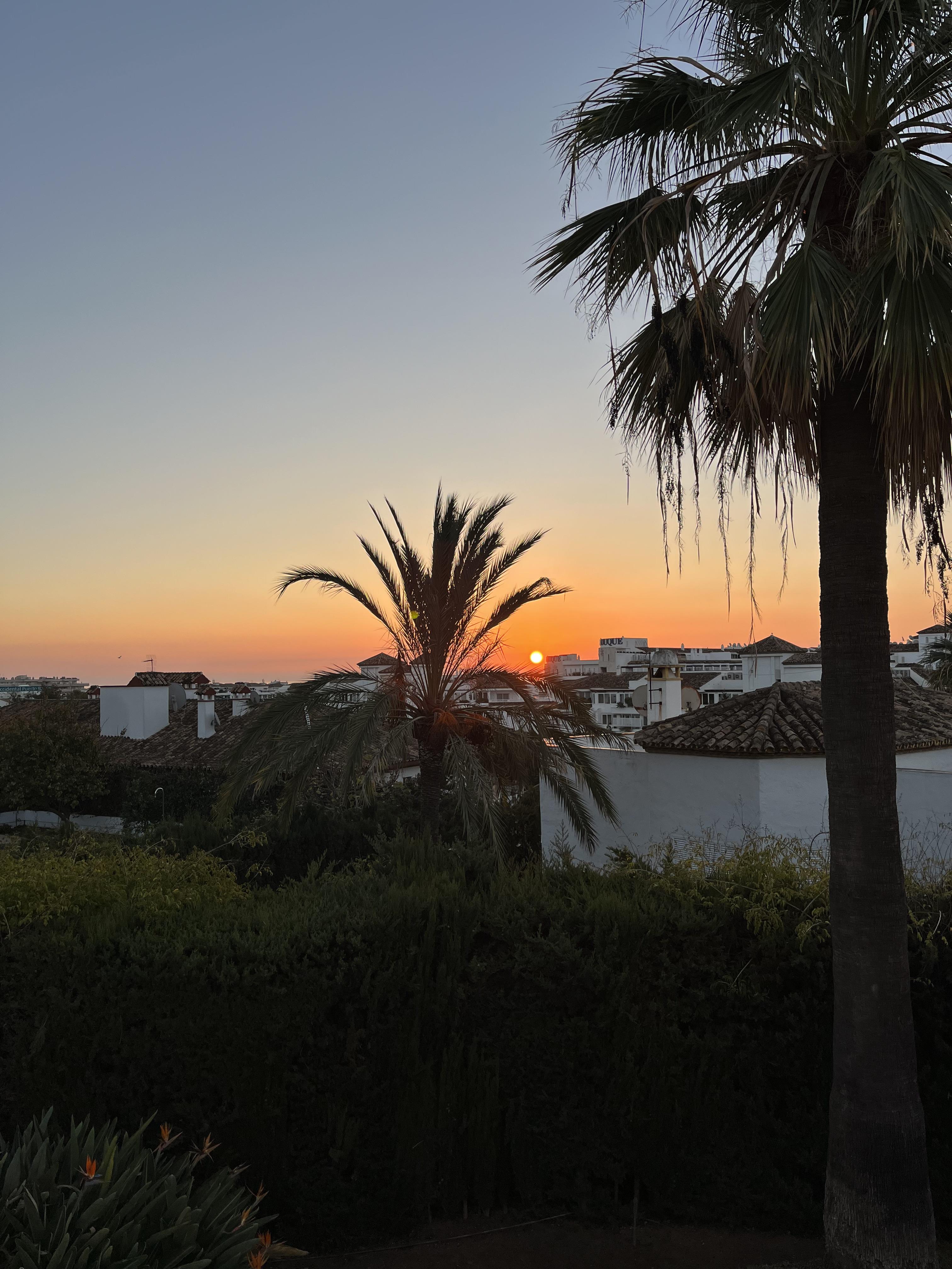 House with sunset view and palm trees that extend into the distant view of an ocean side town in Spain.