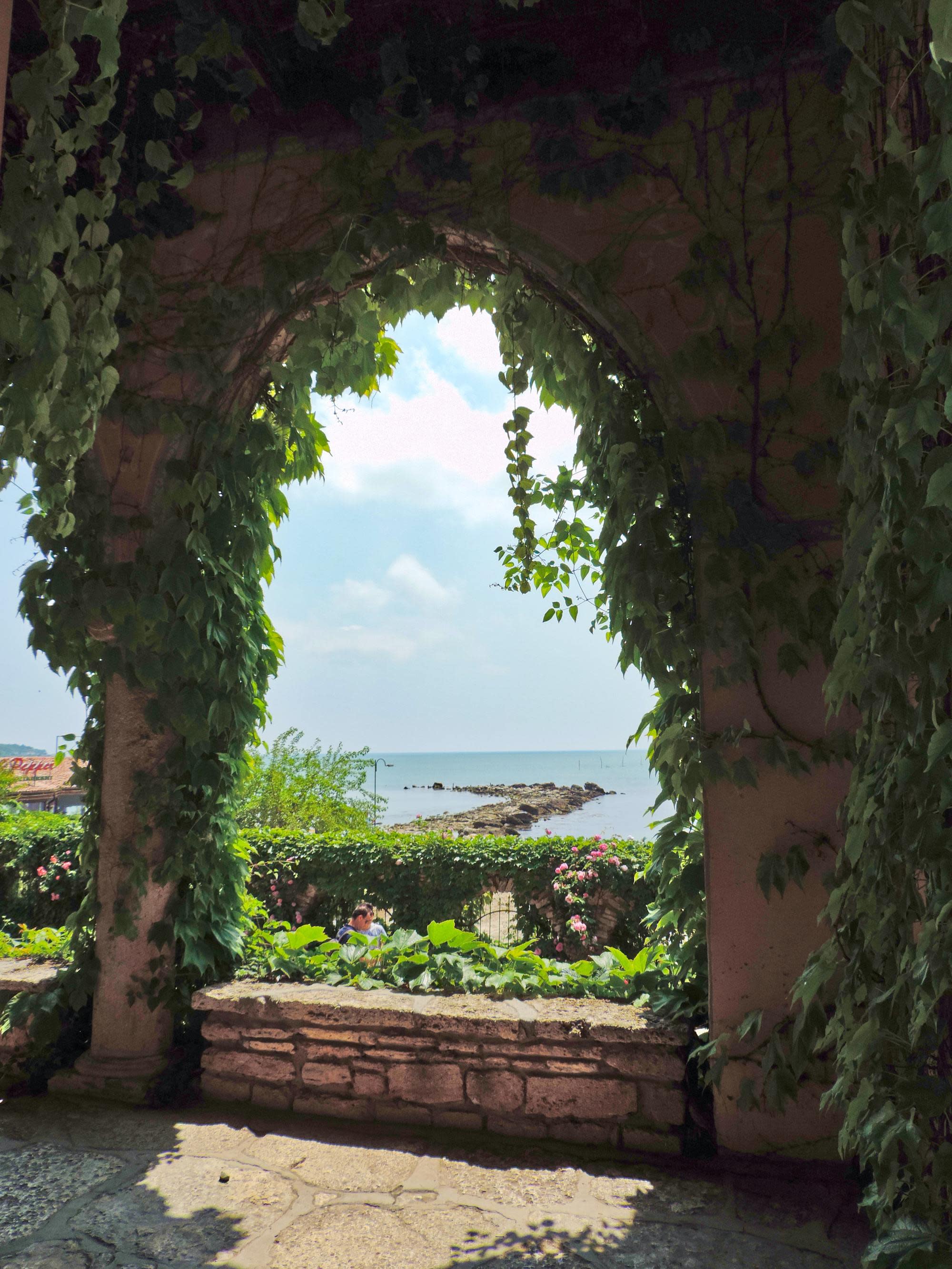 vine-covered colonnade overlooking the sea