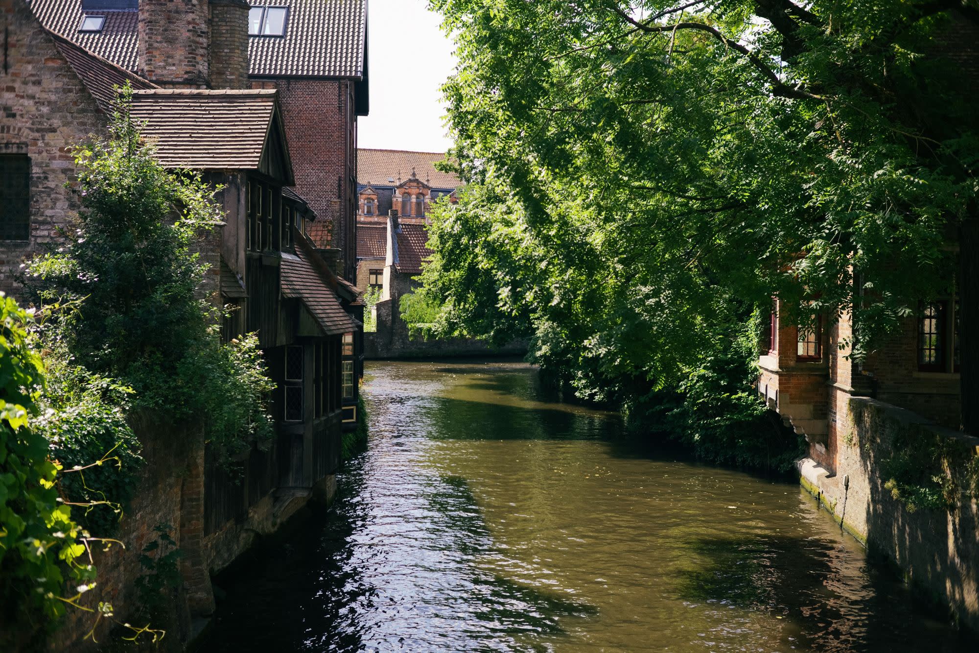 A river running through a small town surrounded by trees.