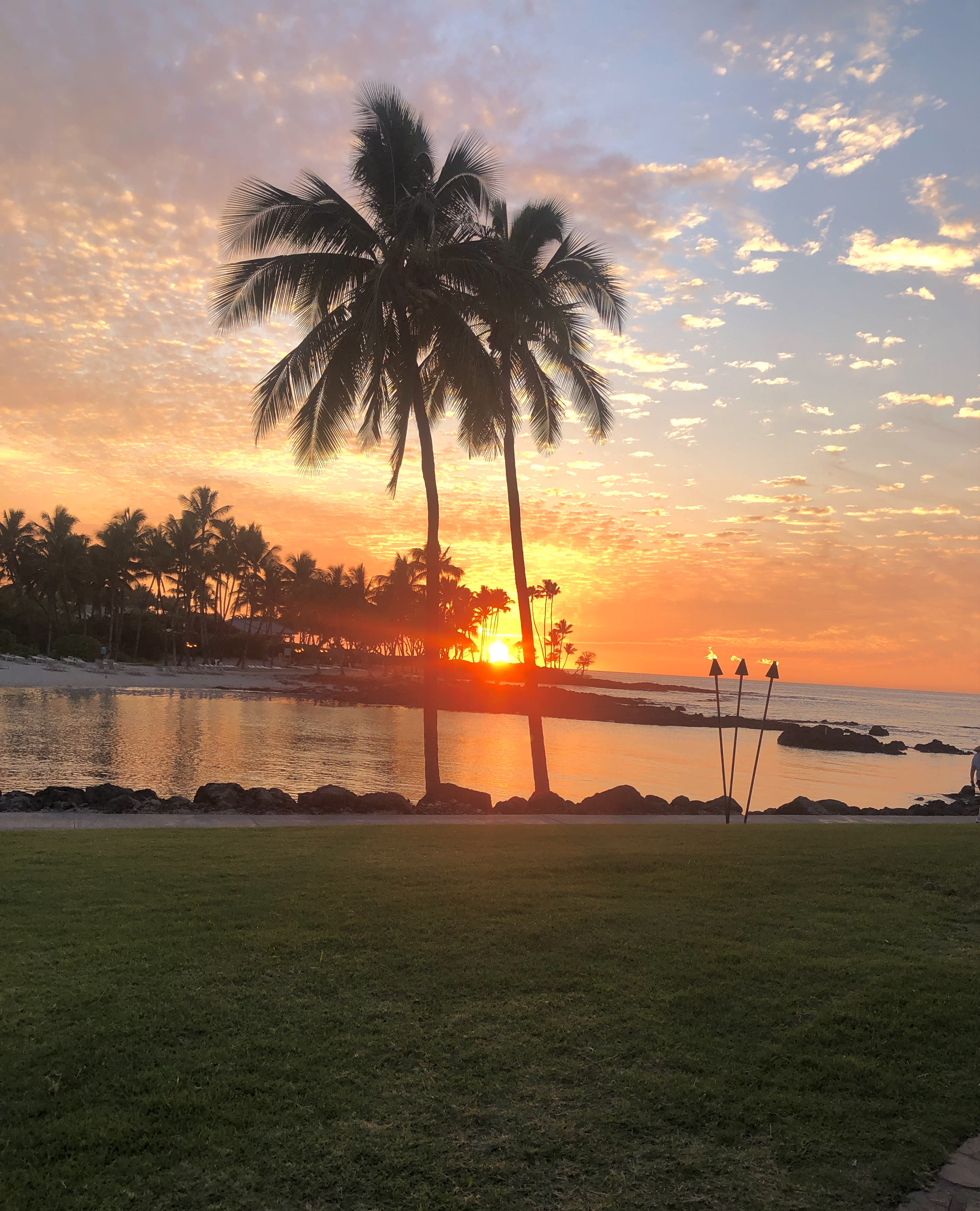 Body of water and palms trees in front of a sunset