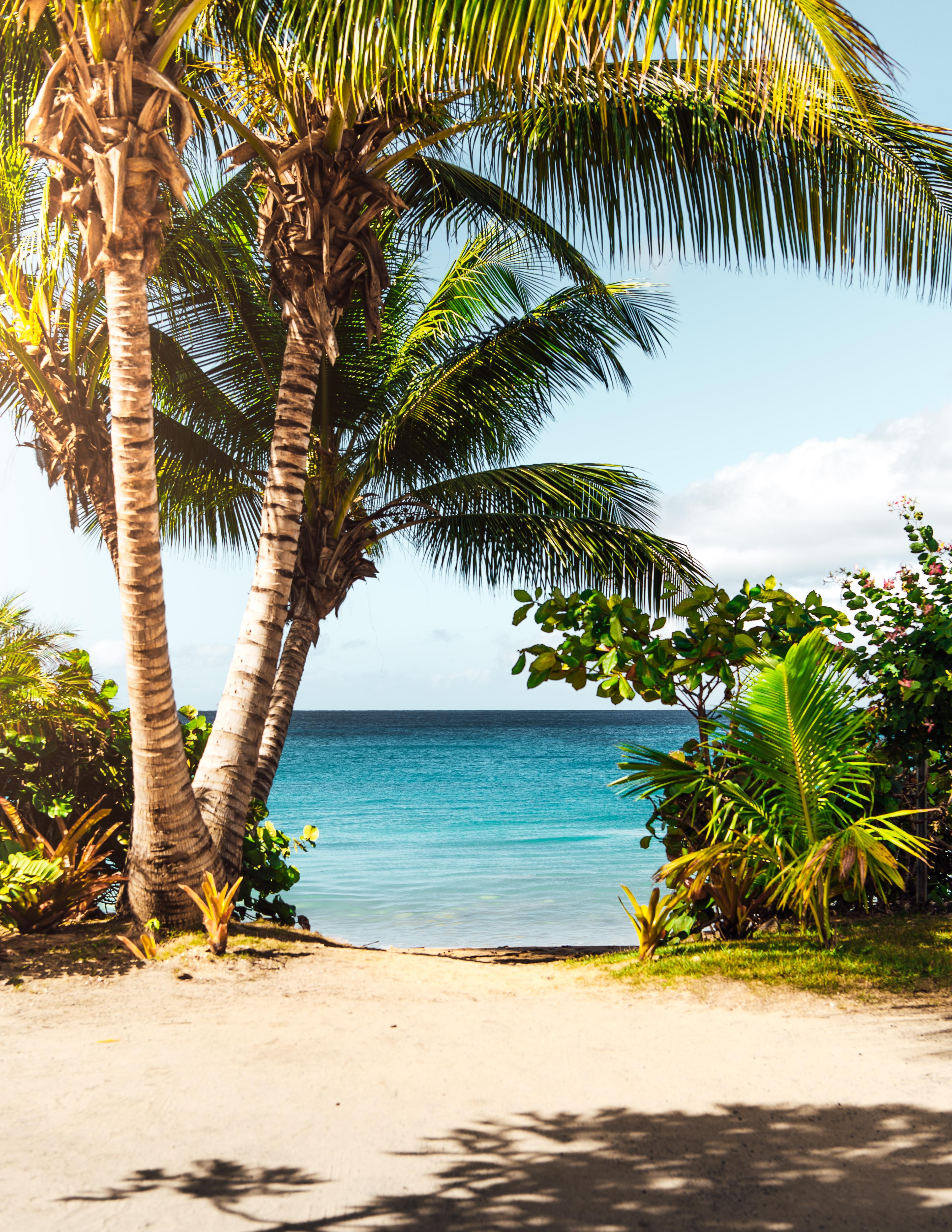 Girl on a surf board on a beach in Hawai'i.