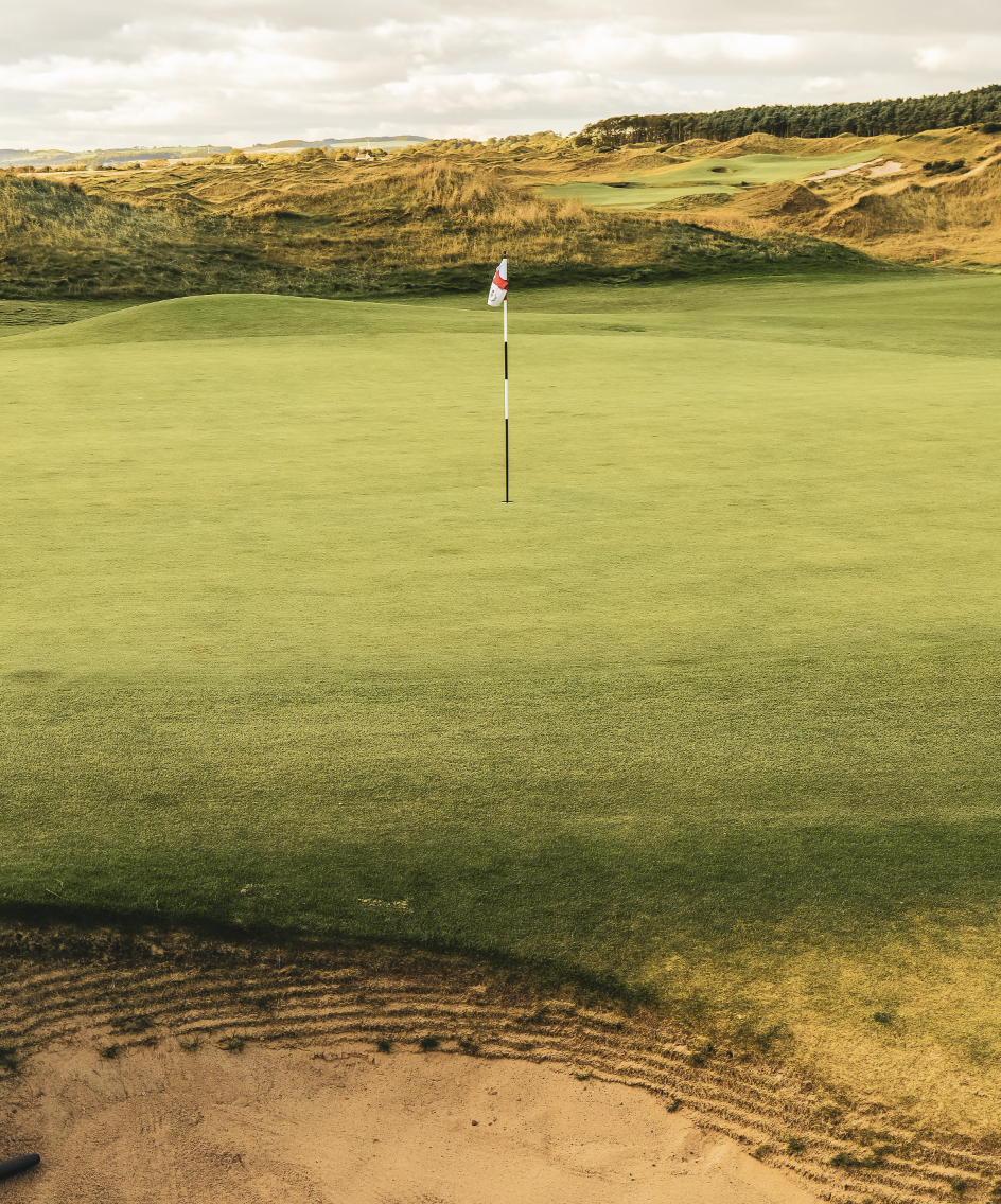 A golf course in Scotland with wild grass and rolling green hills in the background.