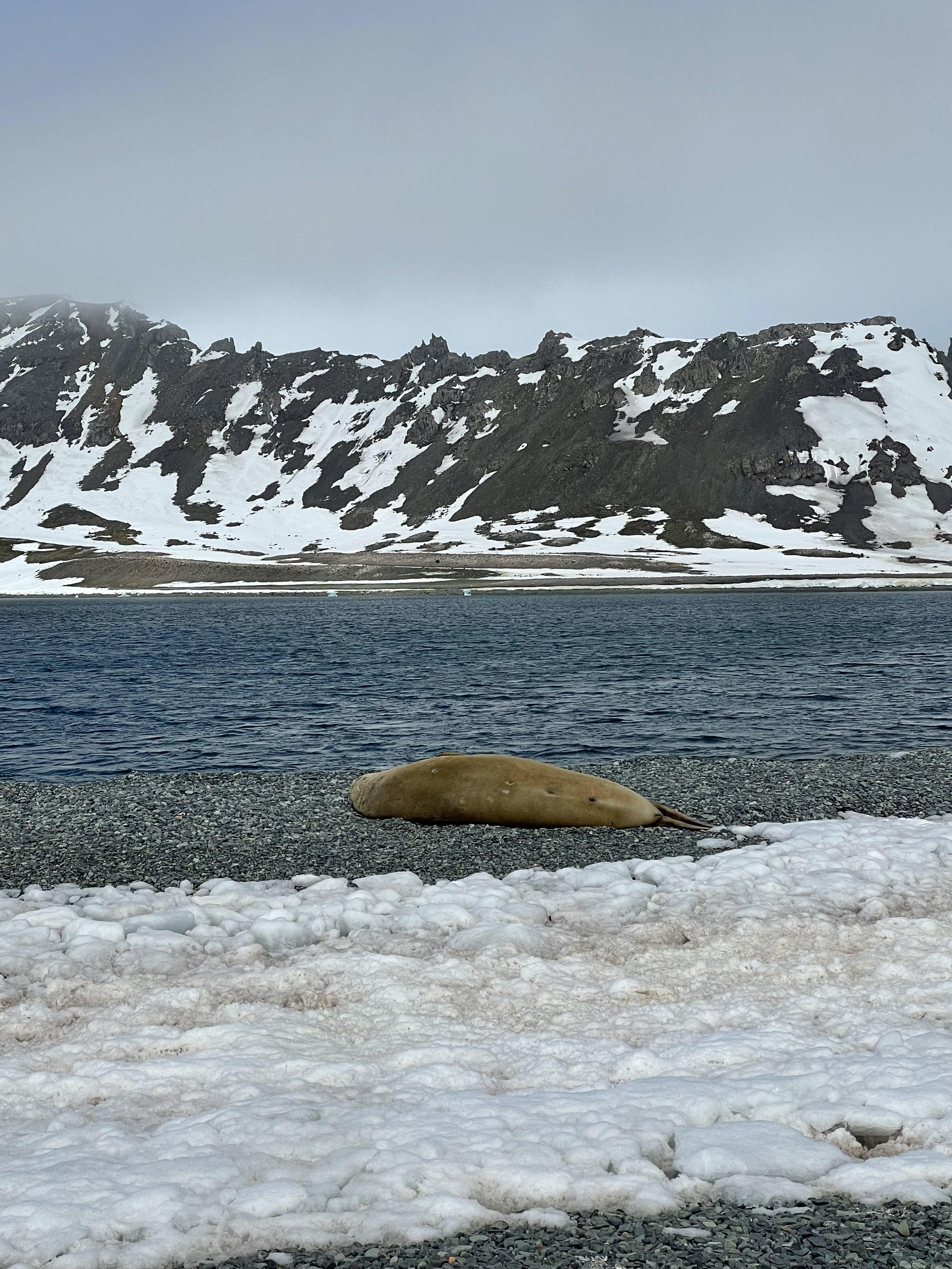 water and snowy mountains