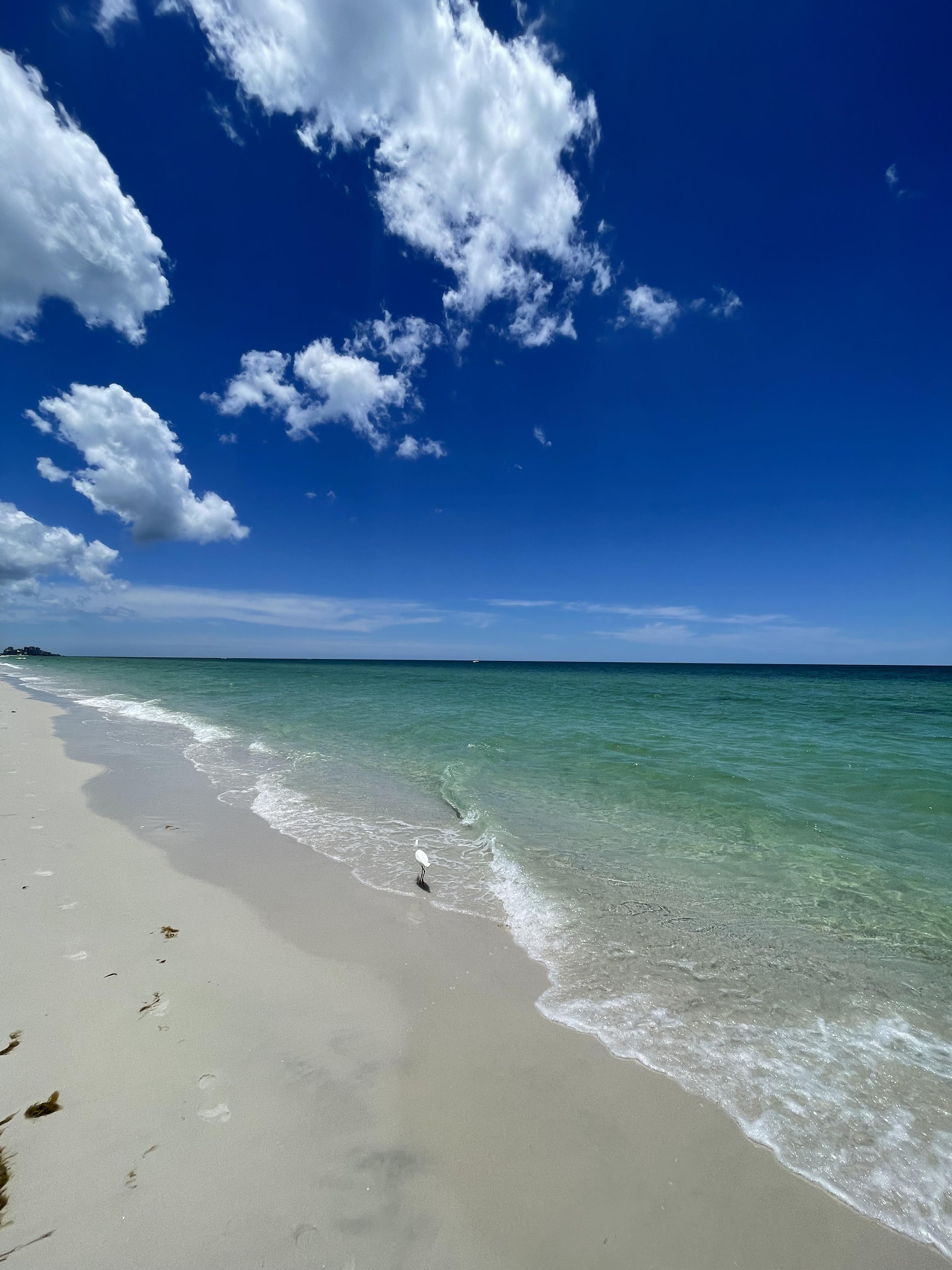 clear blue waters on a white sand beach