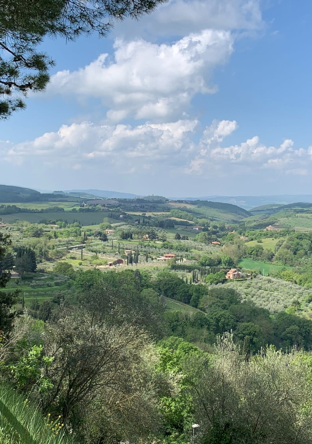 countryside