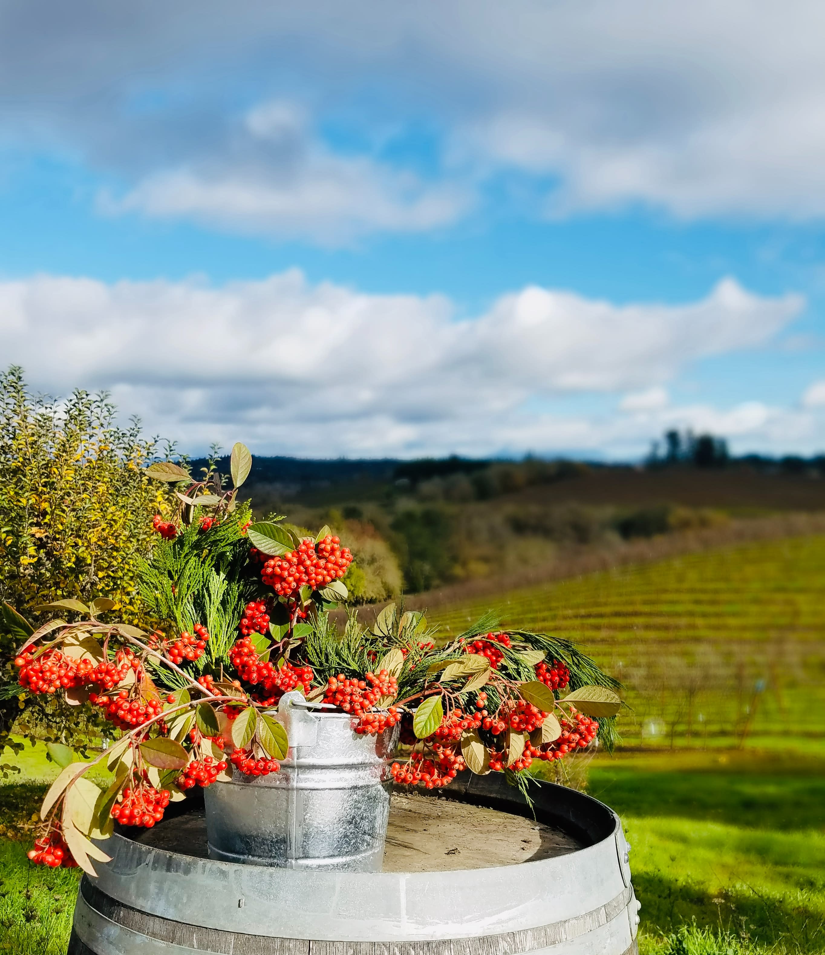 flowers on wine barrel with vineyards in the background