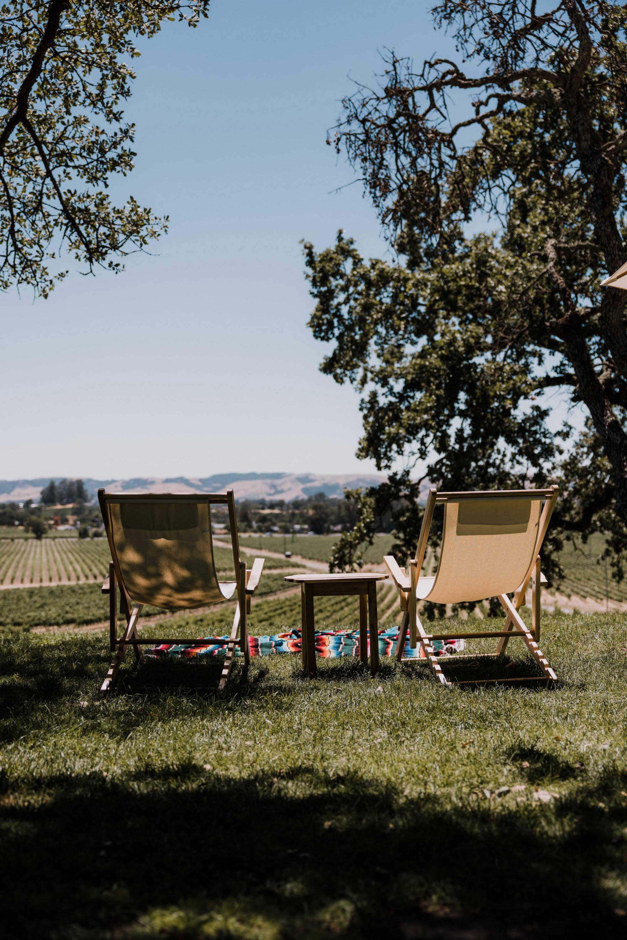 two canvas lawn chairs overlooking vast wine vineyards