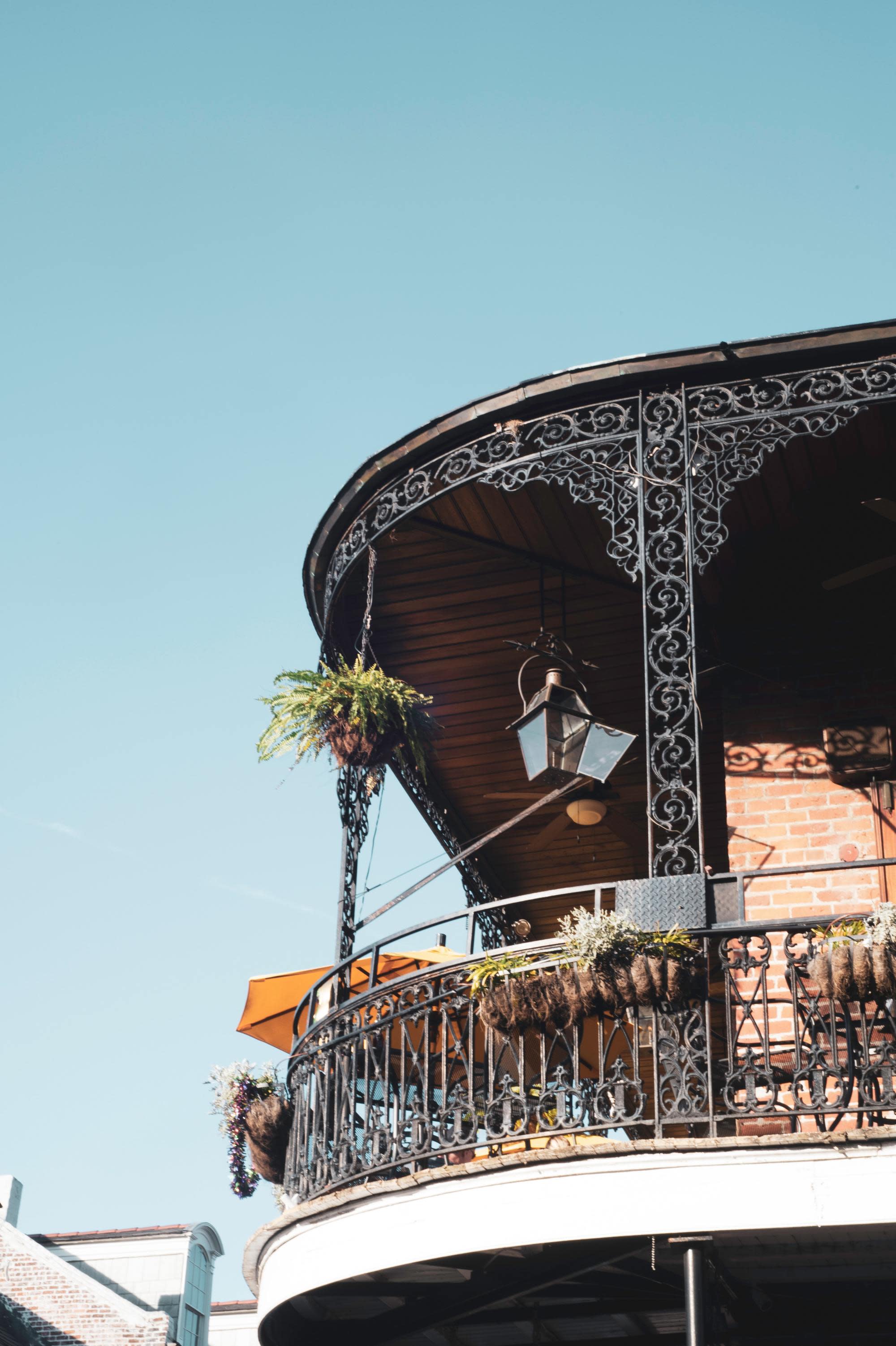 low-angle view of a balcony with hanging plants