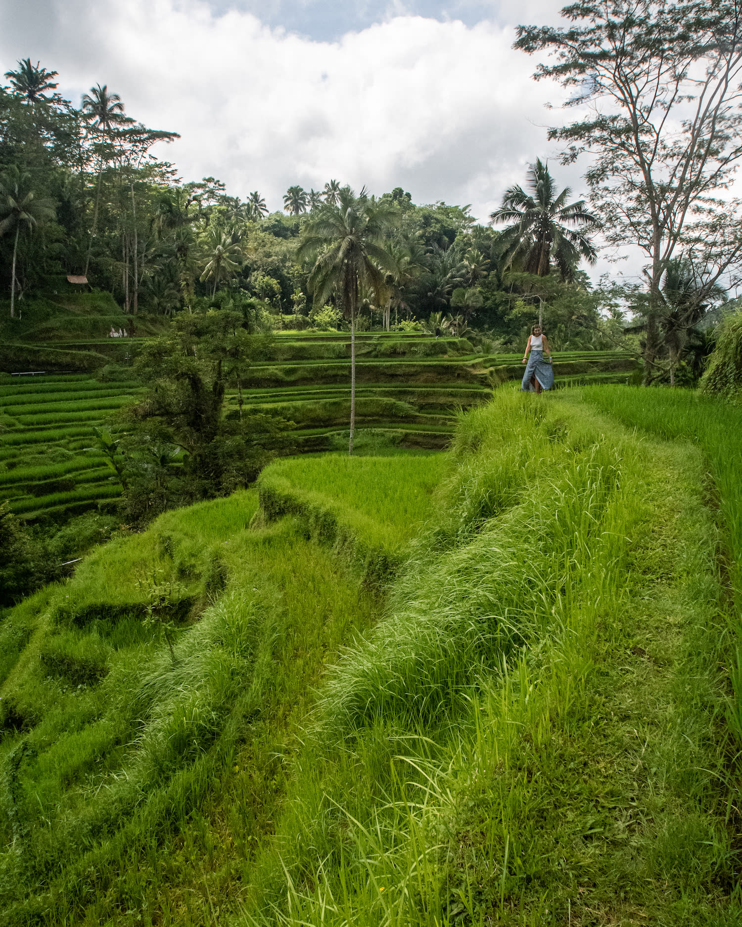 A woman is standing in a green field.