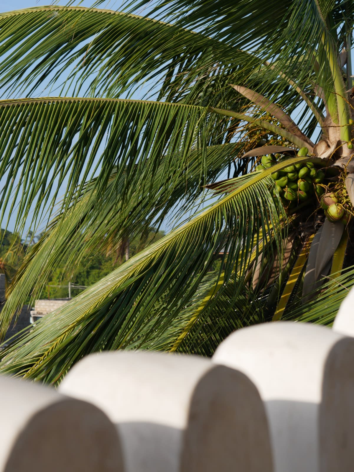 Lamu is a captivating Kenyan island known for its pristine beaches, historic architecture, and tranquil ambiance.