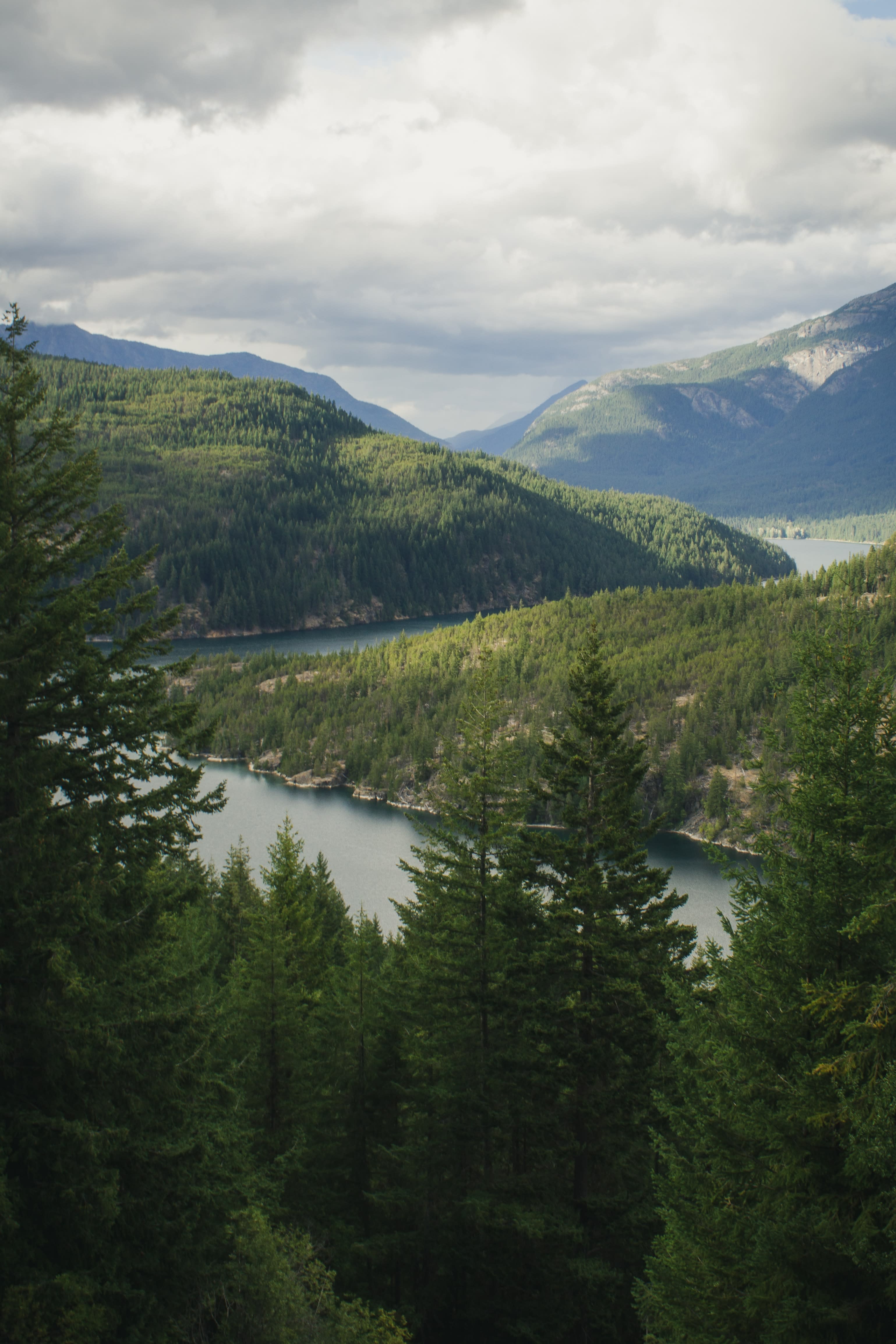 Green trees overlooking body of water and green mountains during daytime