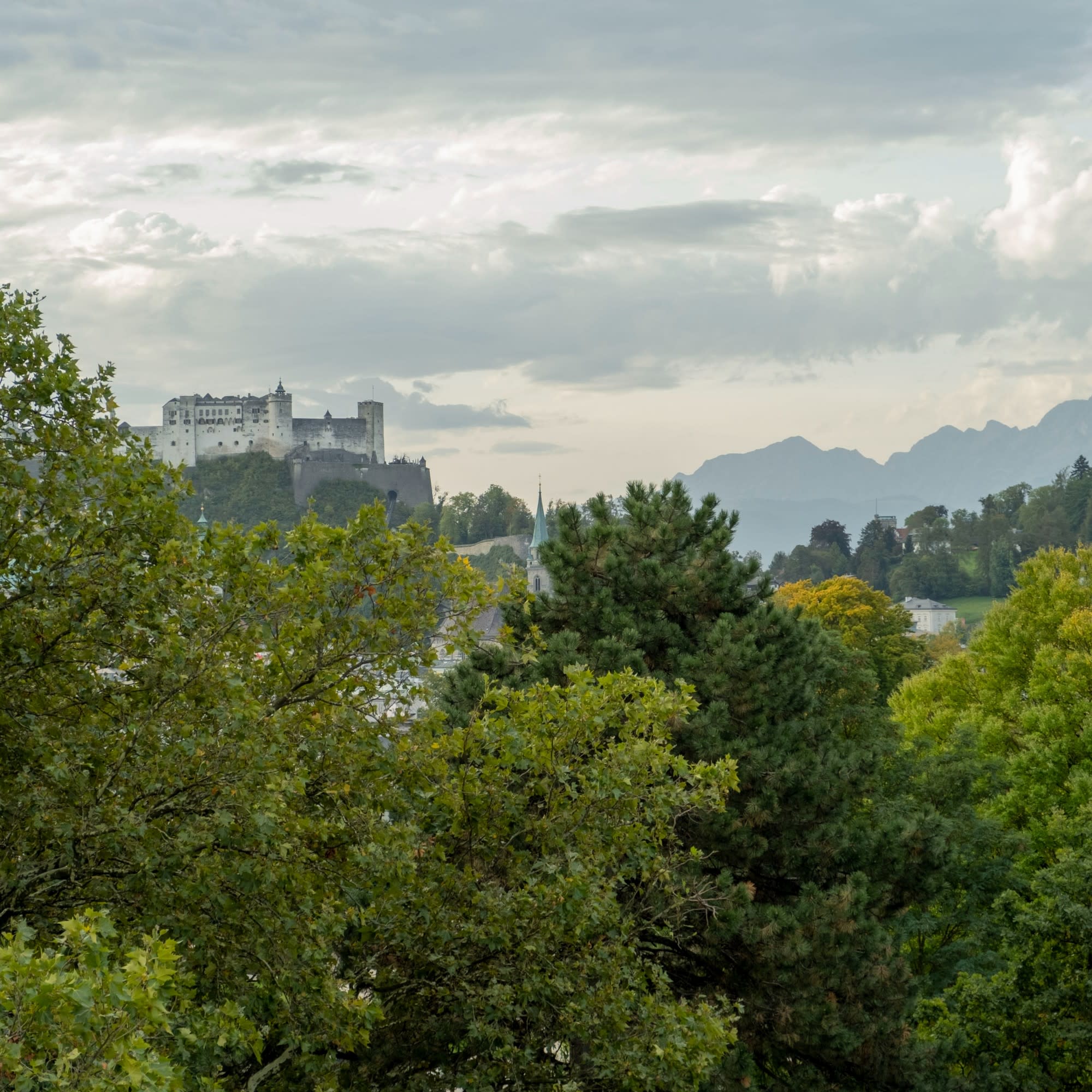 A view of trees with a castle and mountains in the background.
