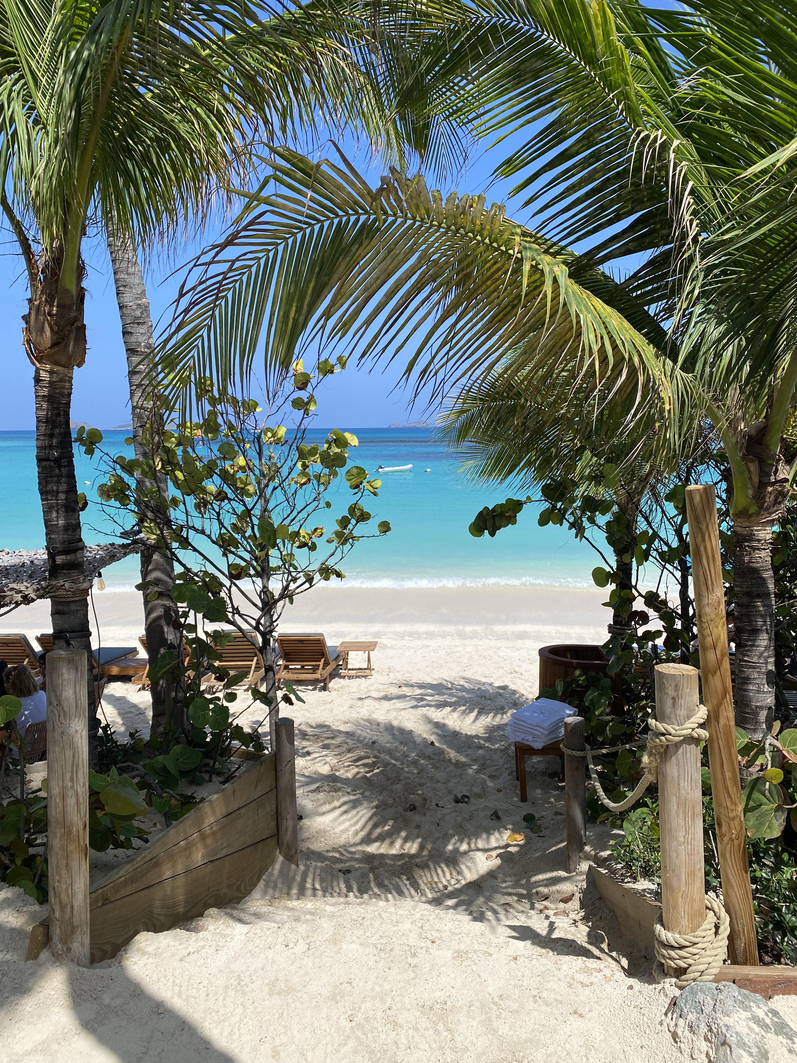 A sandy pathway leading to a beach with palm trees